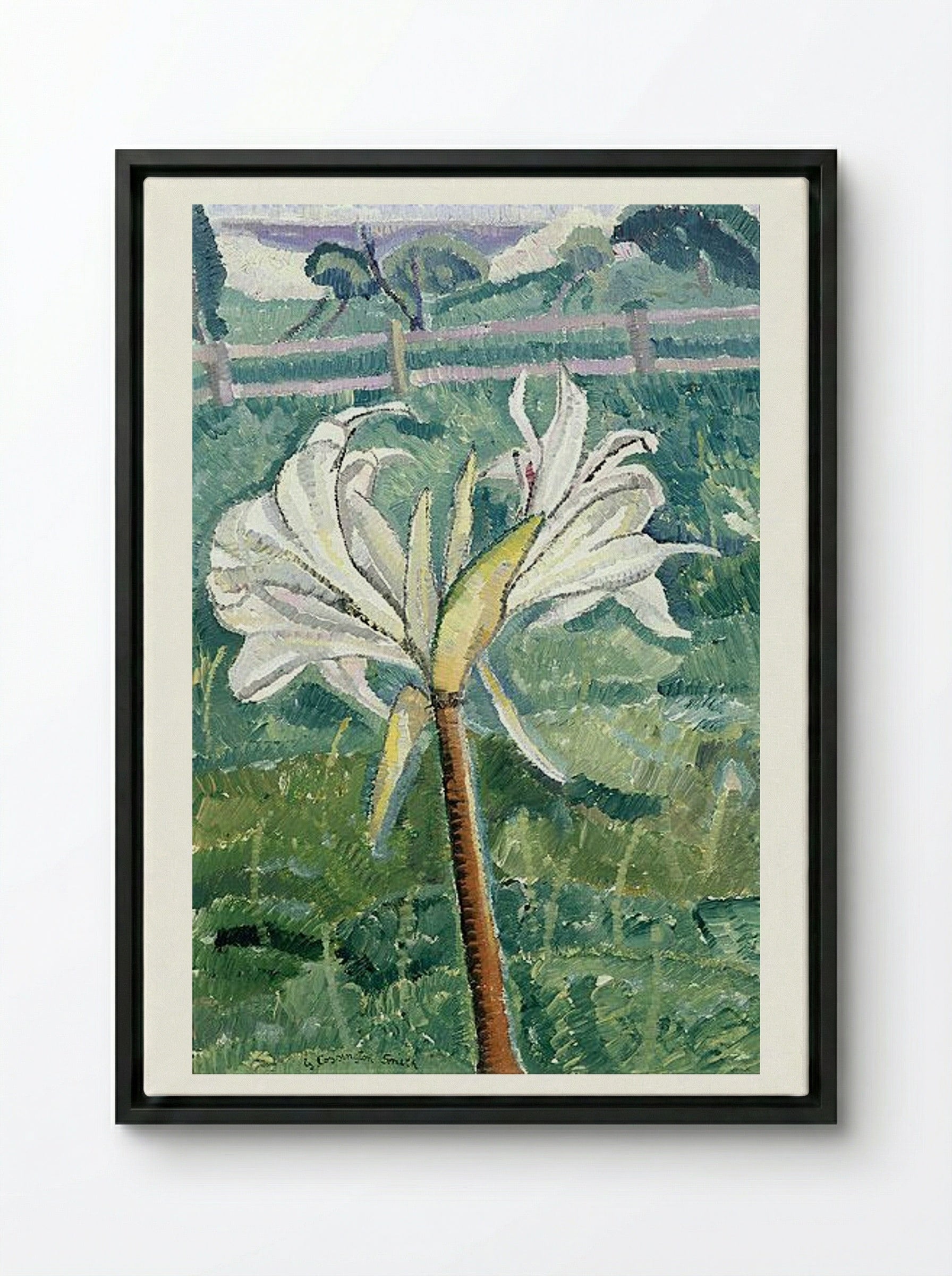 Lily growing in a field by the sea - Grace Cossington Smith - Framed Canvas Black