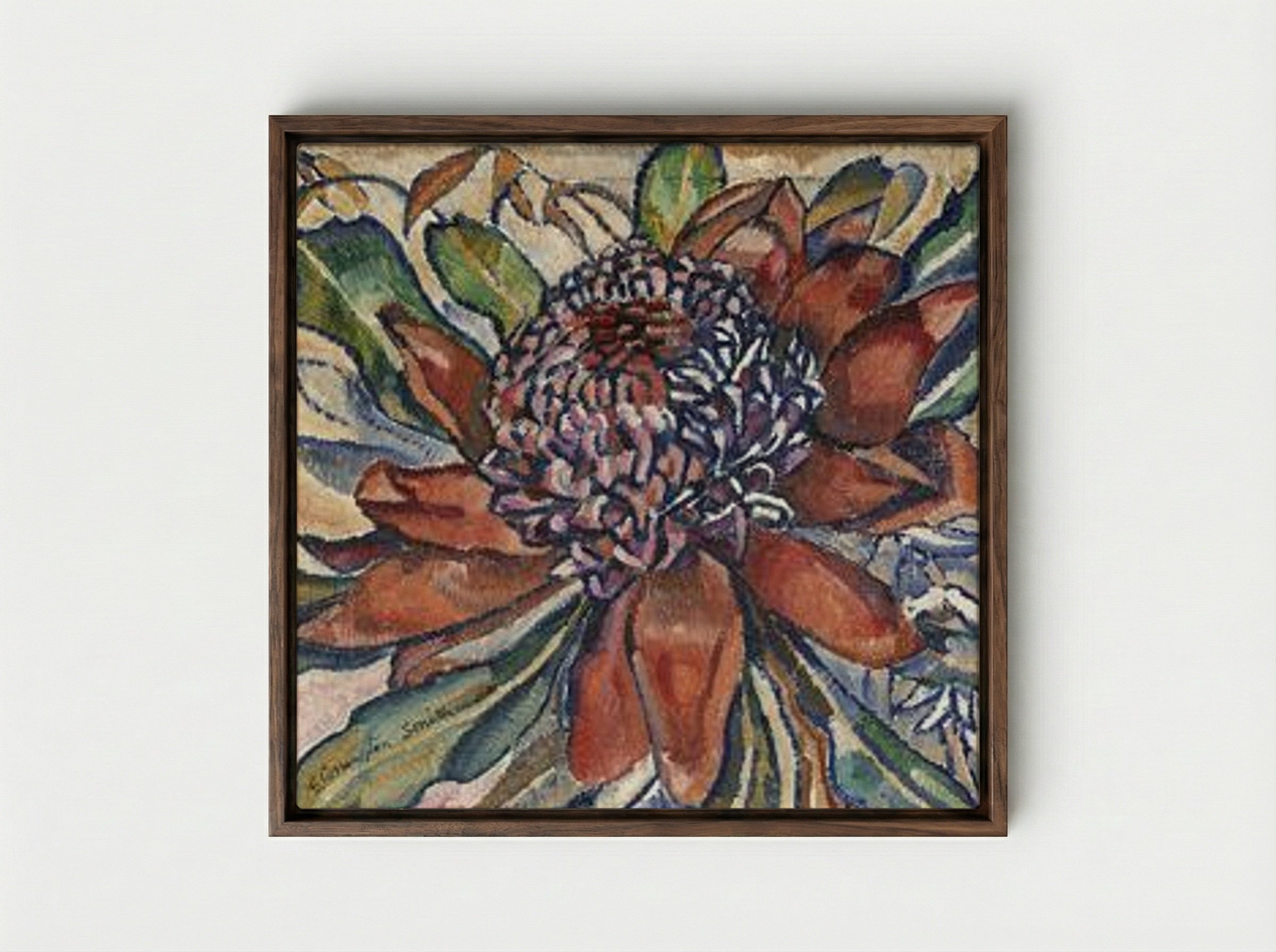 Waratah - Grace Cossington Smith - Framed Canvas Dark Wood