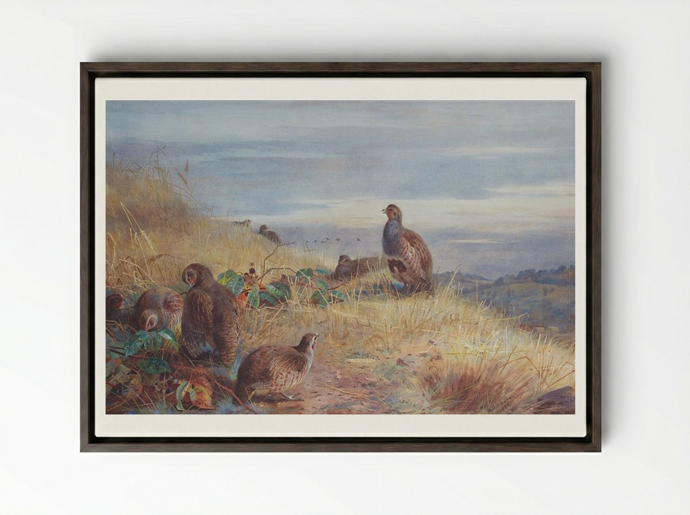 The Covey at Daybreak - Archibald Thorburn - Framed Canvas Dark Wood