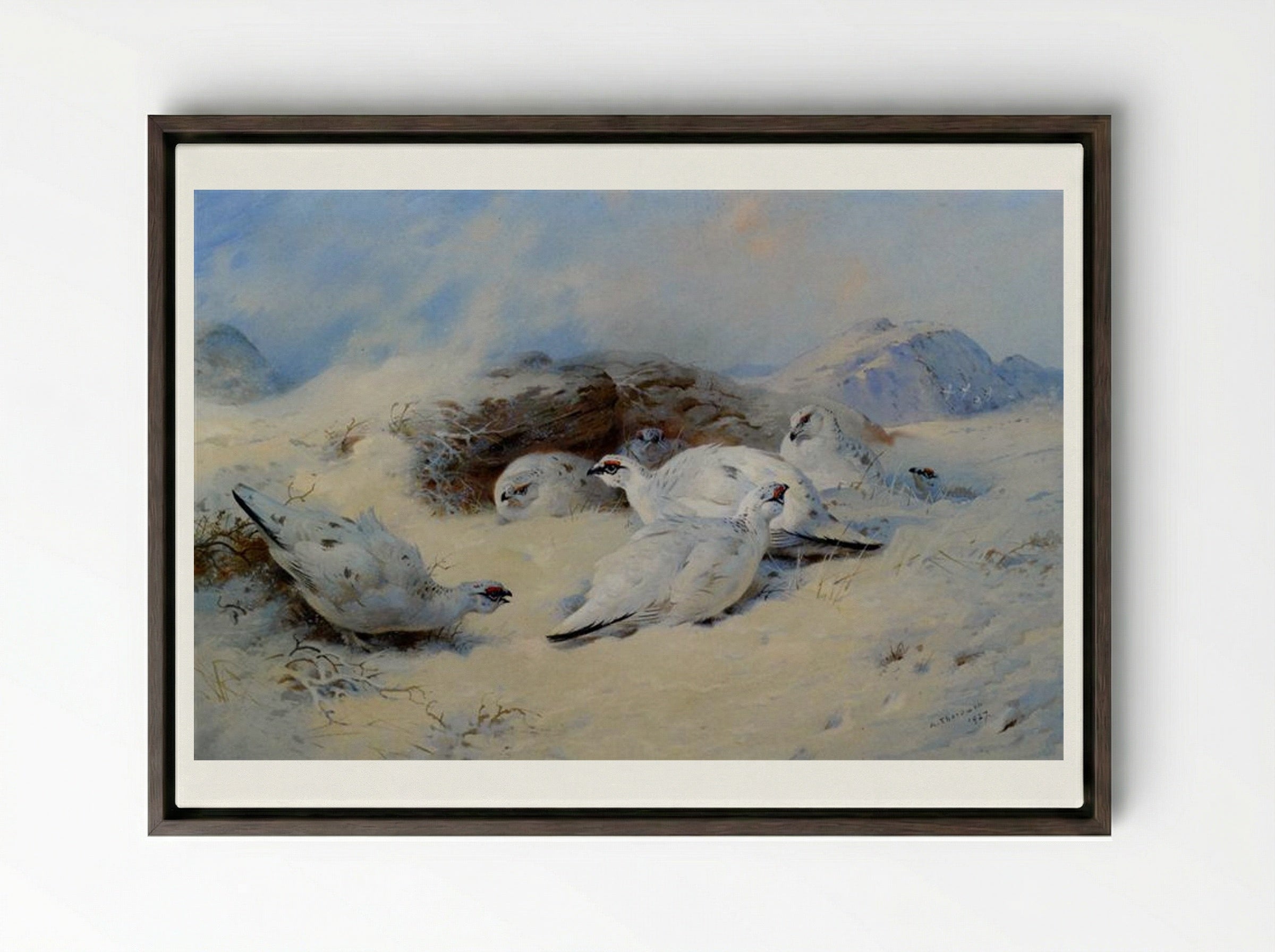 Ptarmigan Seeking Shelter - Archibald Thorburn - Framed Canvas Dark Wood