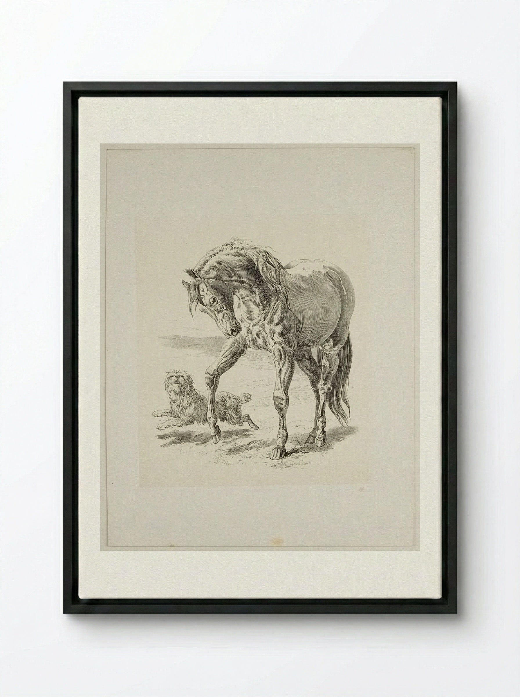 Horse and Dog - Walter Gorway - Framed Canvas Black
