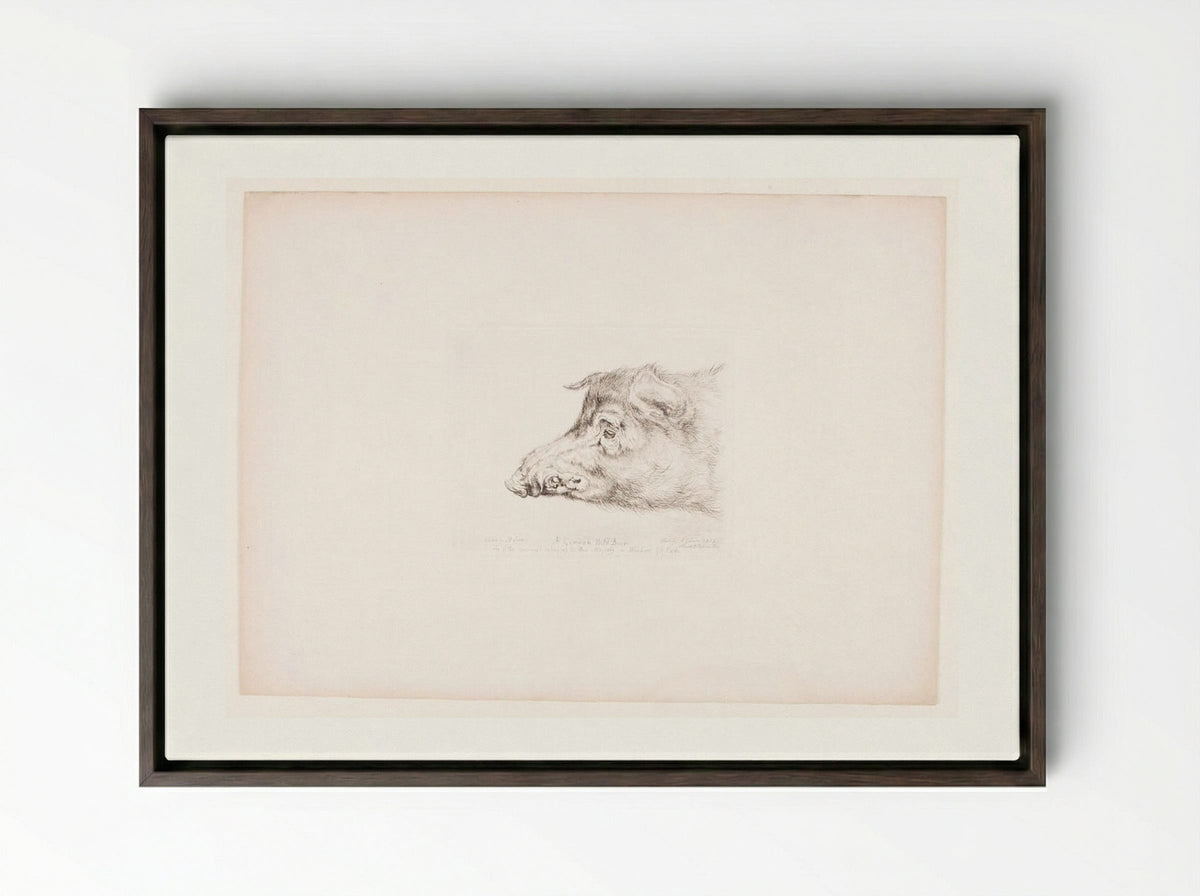 A German Wild Boar - John Frederick Lewis - Framed Canvas Dark Wood