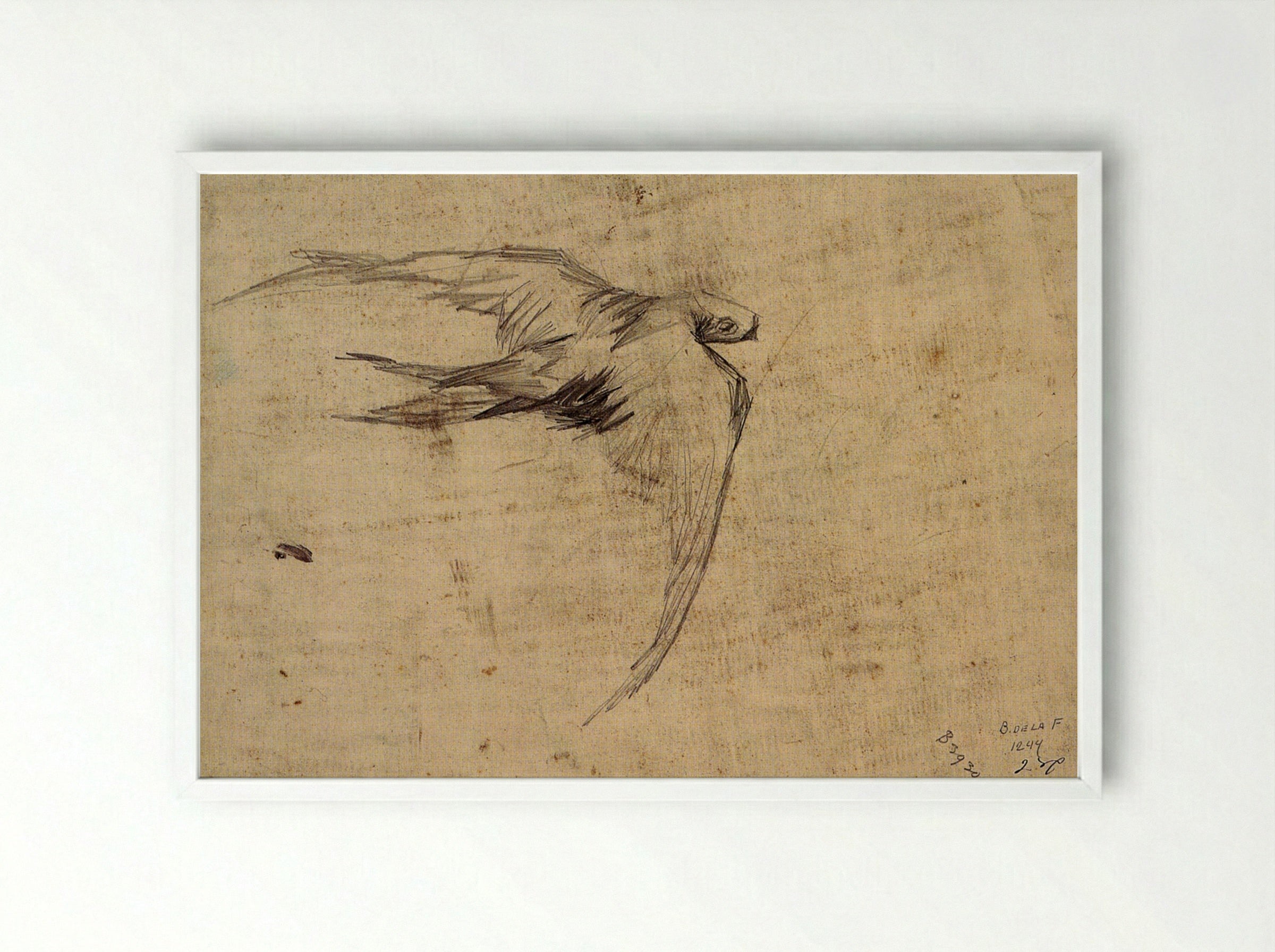 Study of a Swift in Flight - Leonardo da Vinci - Framed Print White