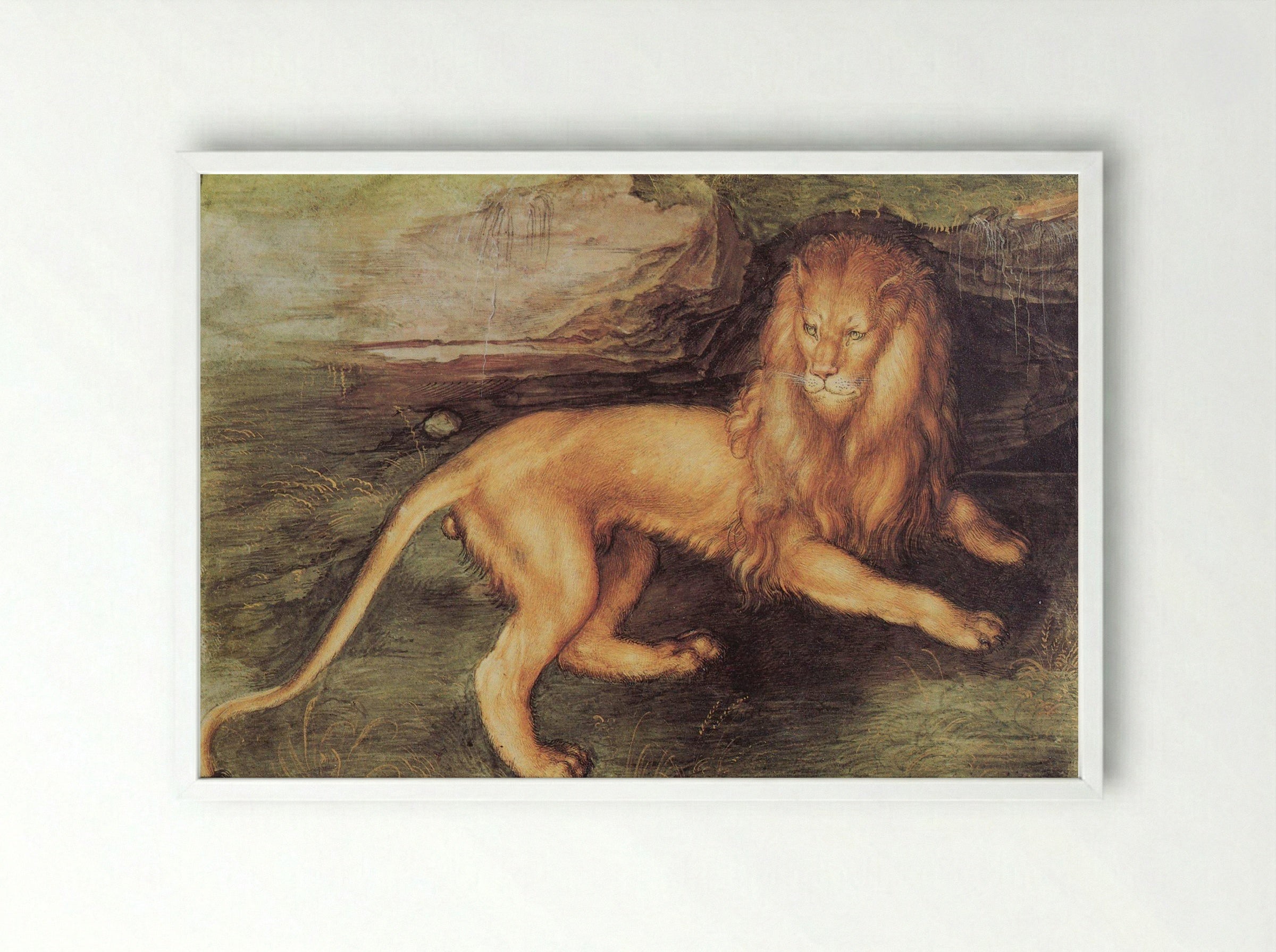 Study of a Lion - Leonardo da Vinci - Framed Print White