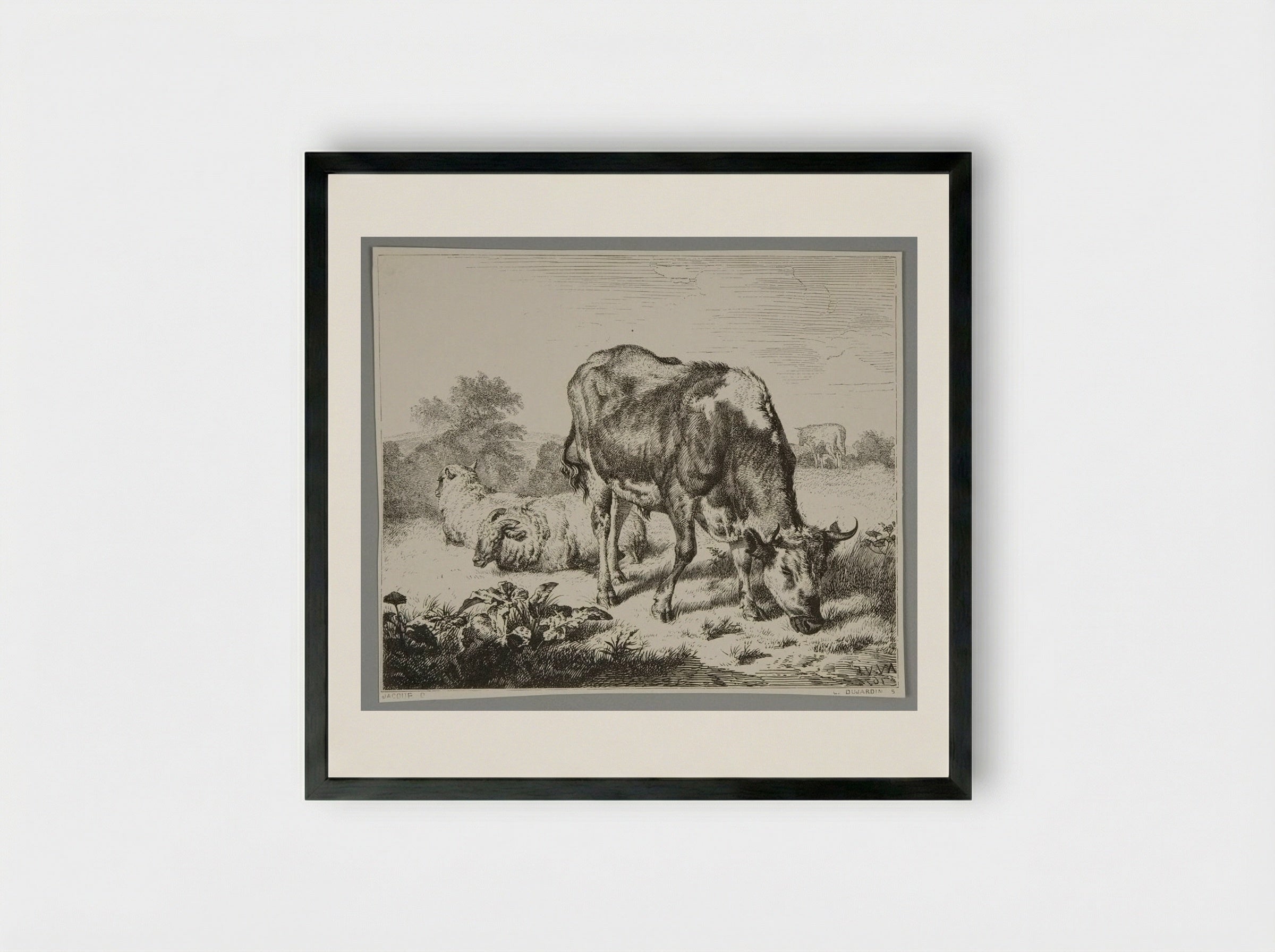 Ox and Three Sheep - Louis Dujardin - Framed Print Black