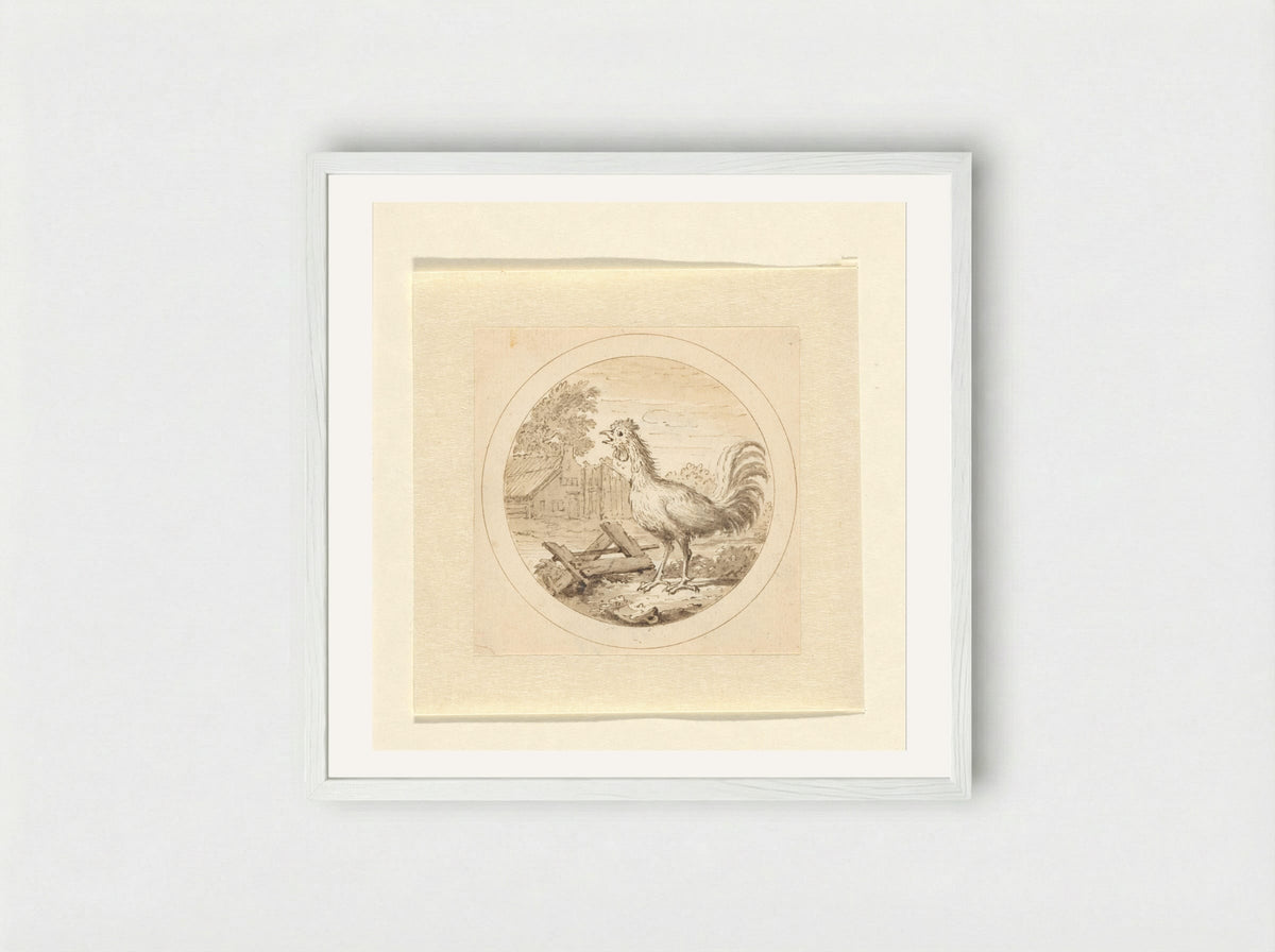 De Haan (The Rooster) - Arnold Houbraken - Framed Print White