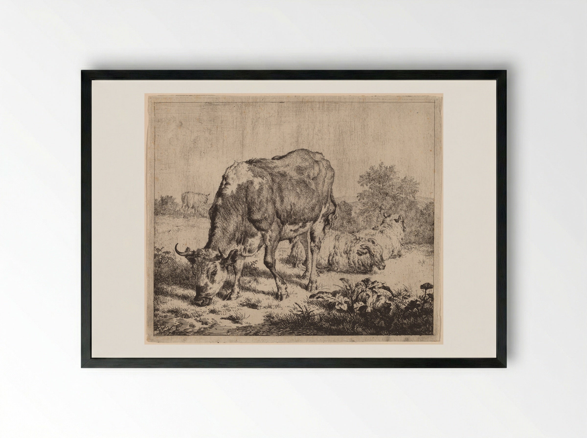 Spotted Bull and Three Sheep - Adriaen van de Velde - Framed Print Black