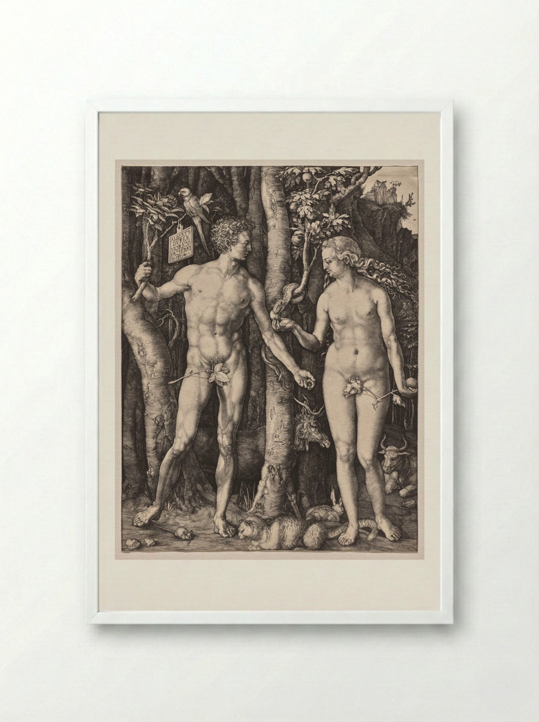 Adam and Eve - Albrecht Dürer - Framed Print White