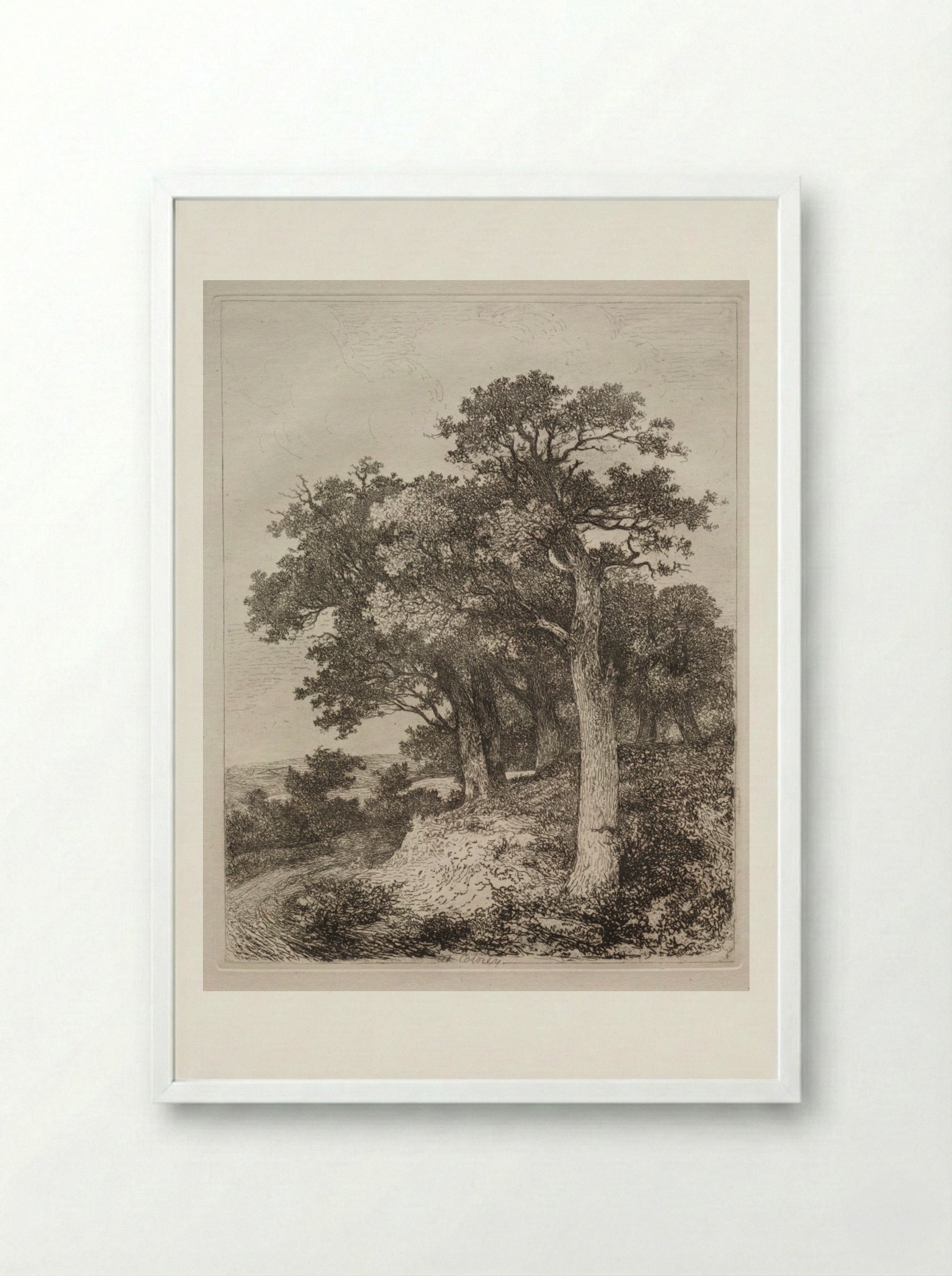 At Colney - John Crome - Framed Print White