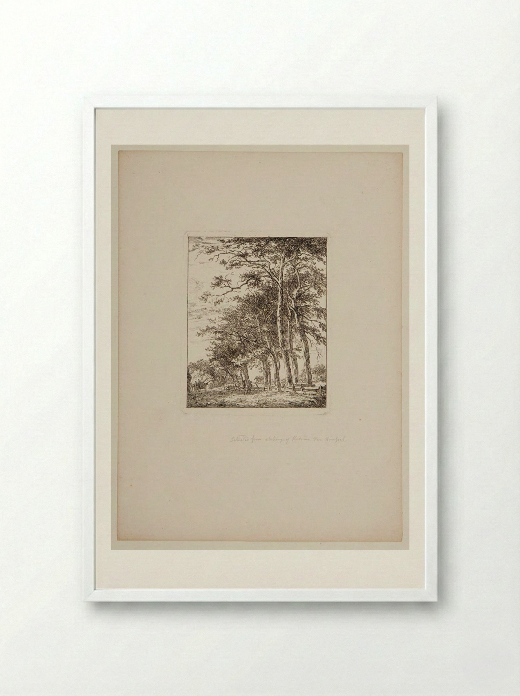 Plate V (Tree-Lined Path) - Hermanus van Brussel - Framed Print White