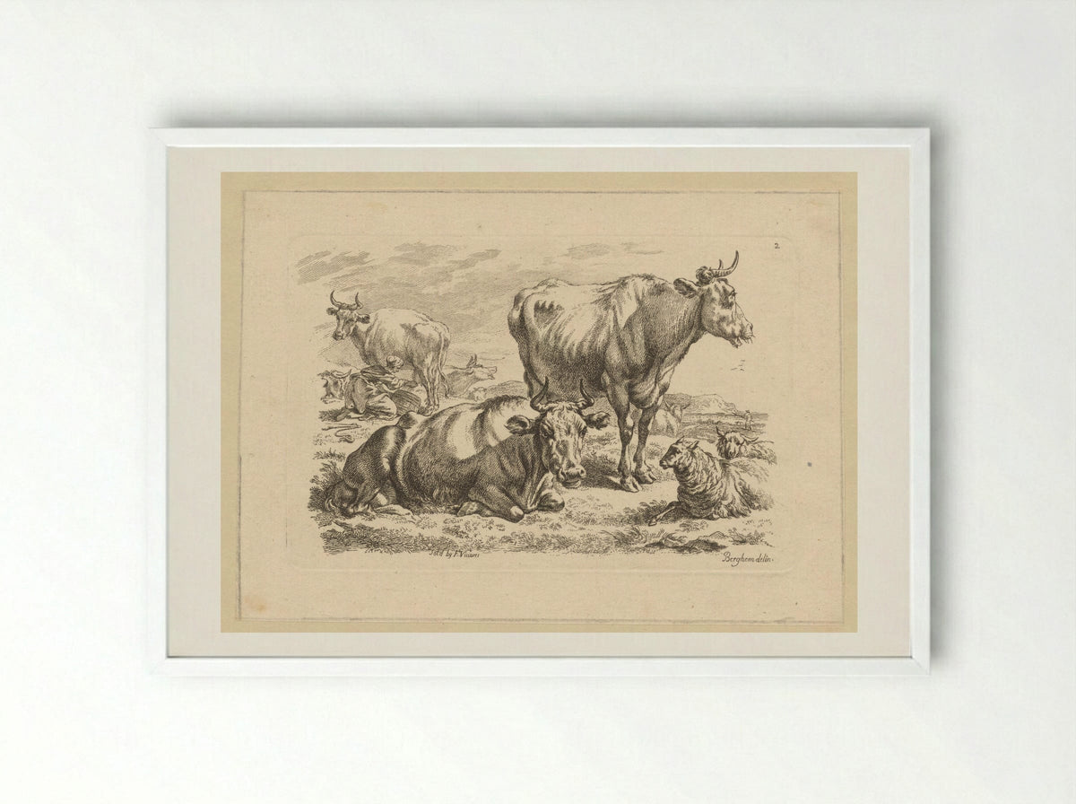 Staande en liggende runderen en een koe die gemolken wordt - François Vivares - Framed Print White