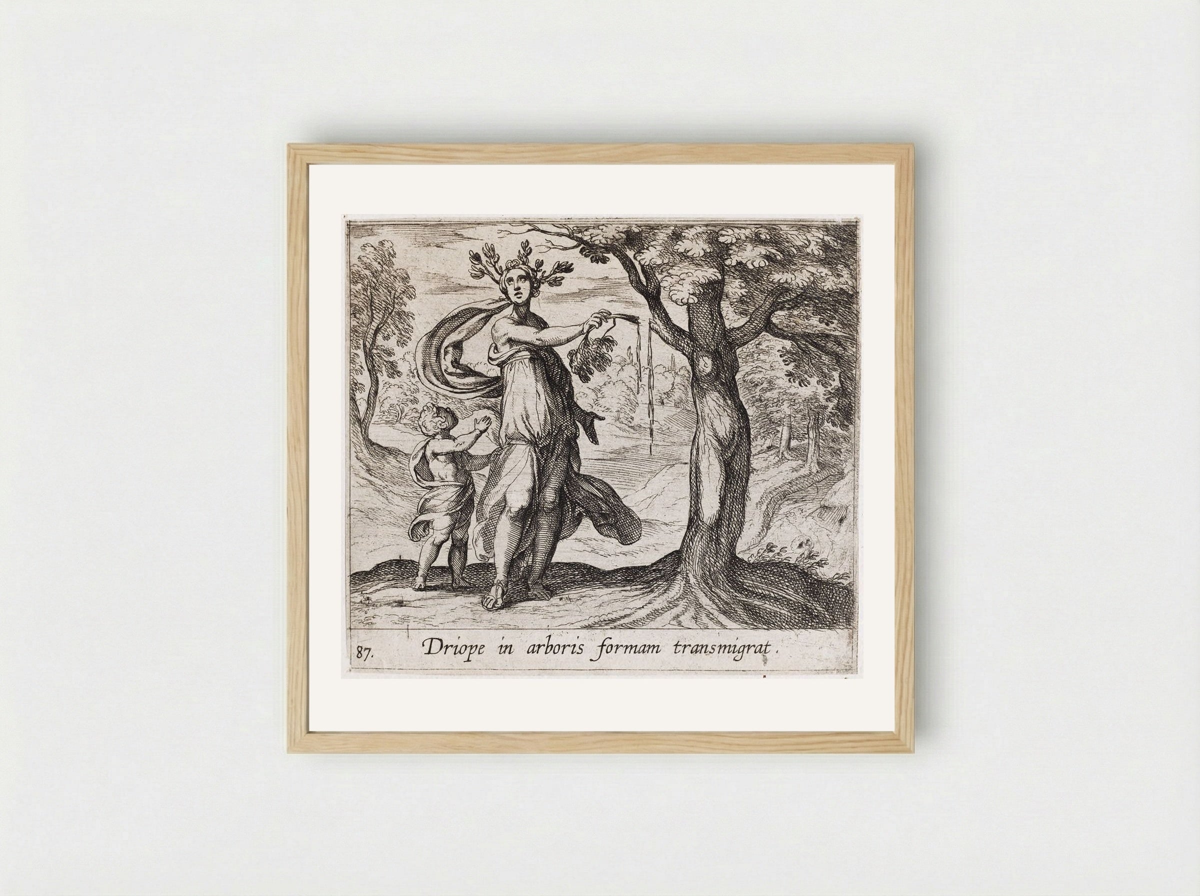 Dryope Changed into a Lotus Tree - Antonio Tempesta - Framed Print Wood