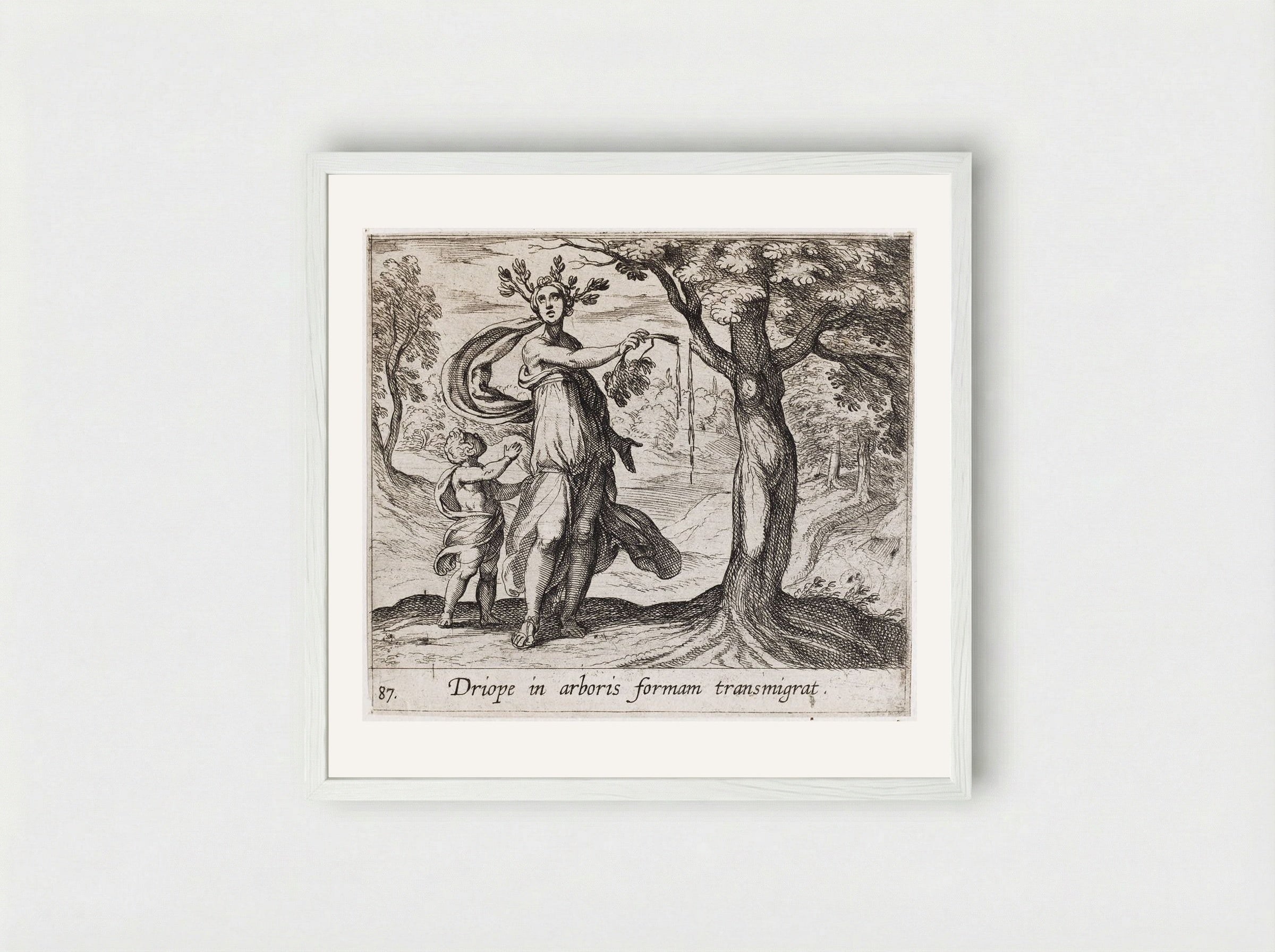 Dryope Changed into a Lotus Tree - Antonio Tempesta - Framed Print White