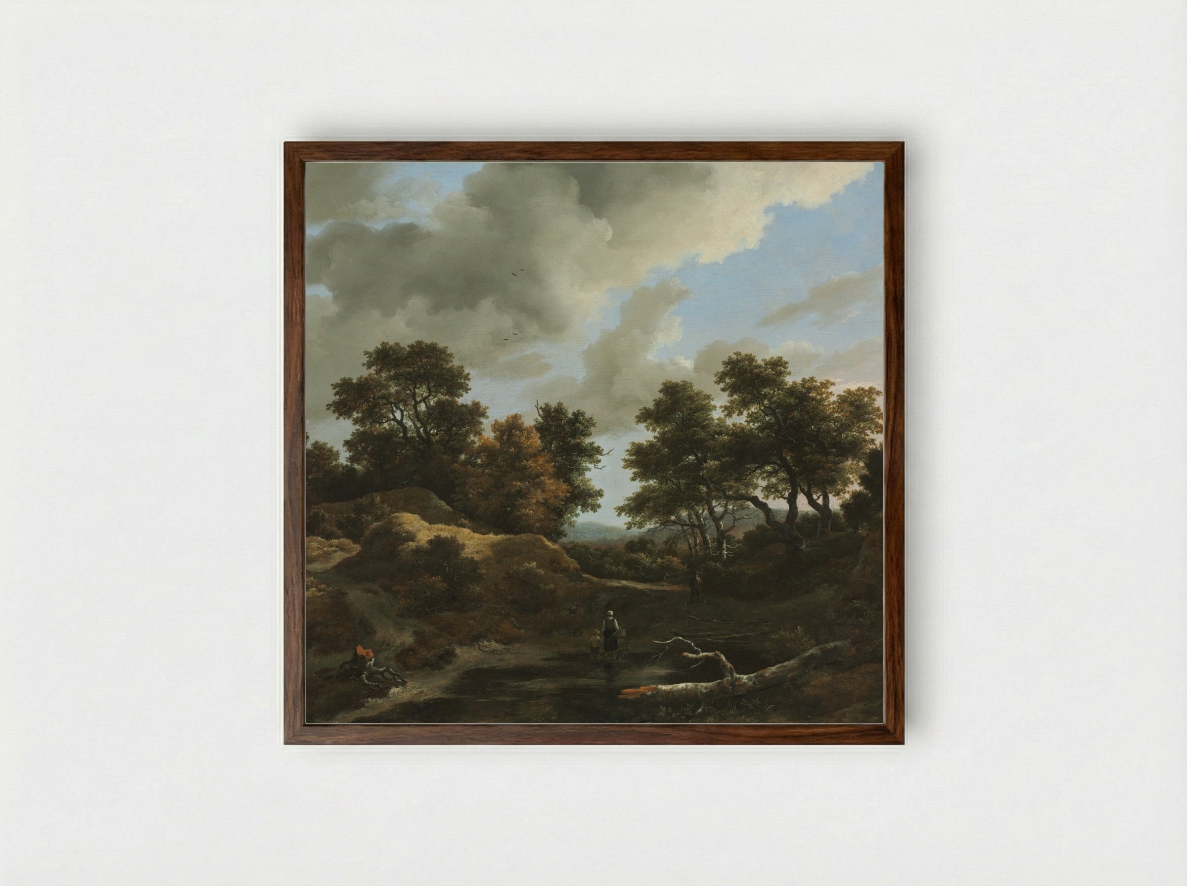 Wooded and Hilly Landscape - Jacob van Ruisdael - Framed Print Dark Wood