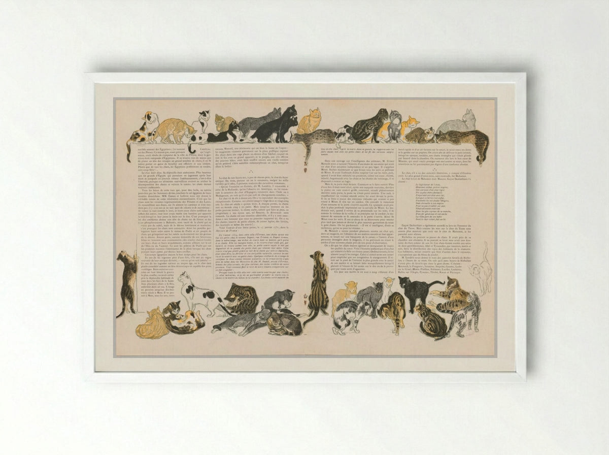 On Cats (Des Chats) - Théophile Alexandre Steinlen - Framed Print White