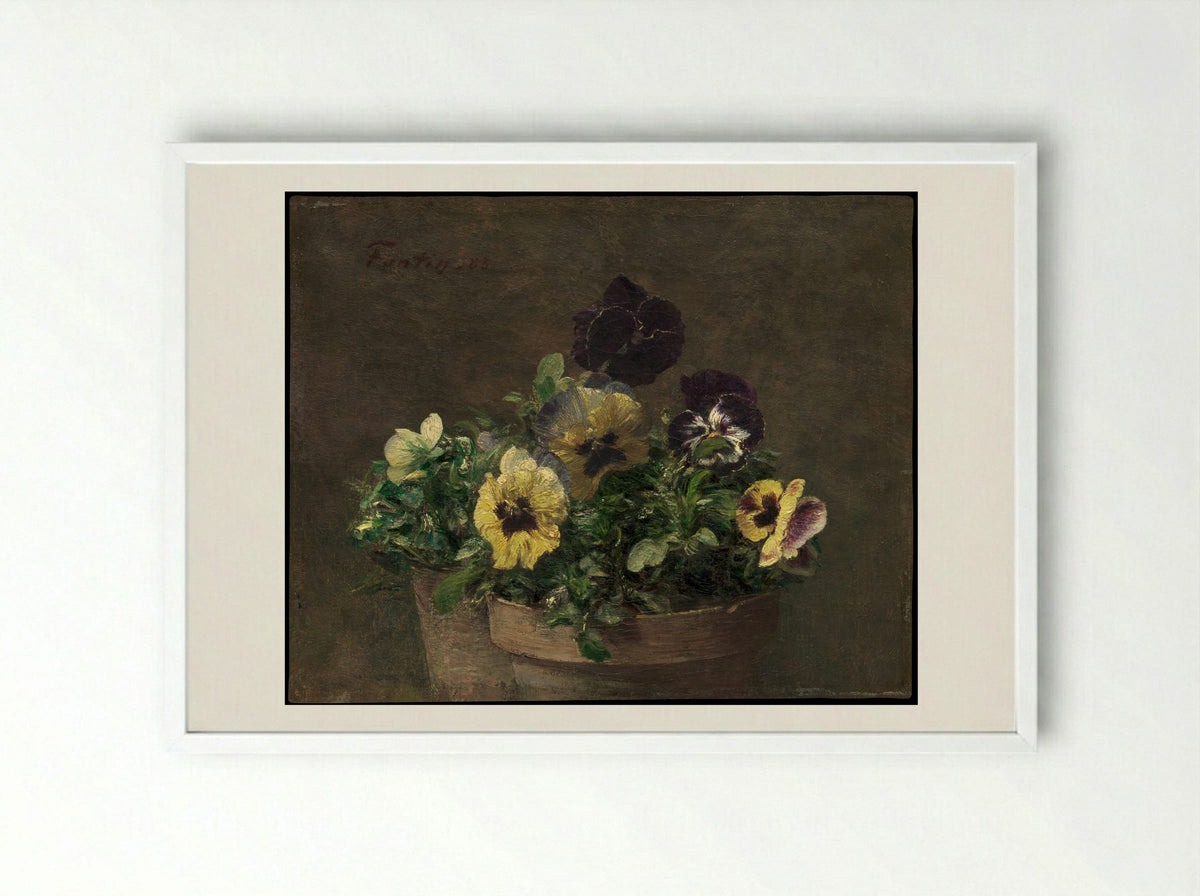 Potted Pansies - Henri Fantin-Latour - Framed Print White
