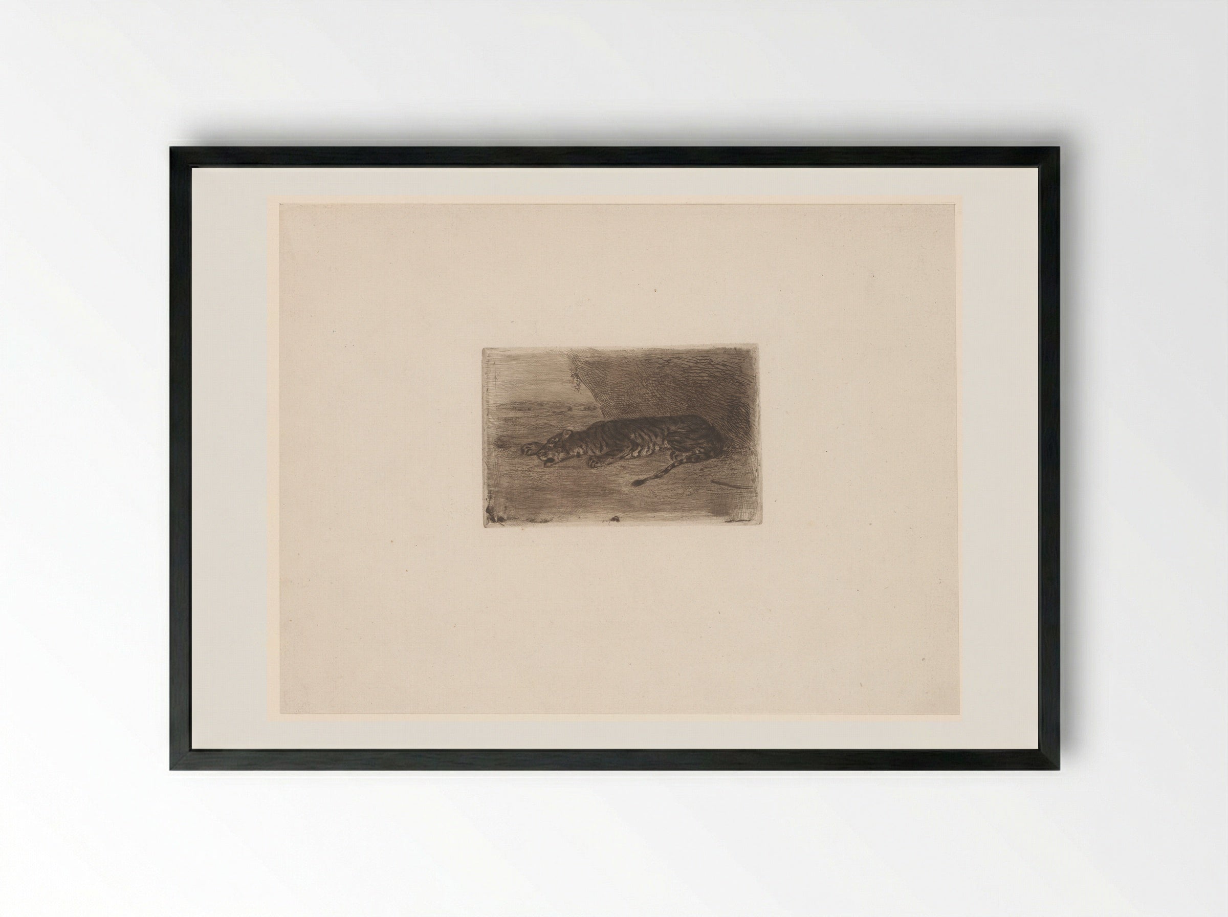 Sleeping Tiger - Eugène Delacroix - Framed Print Black