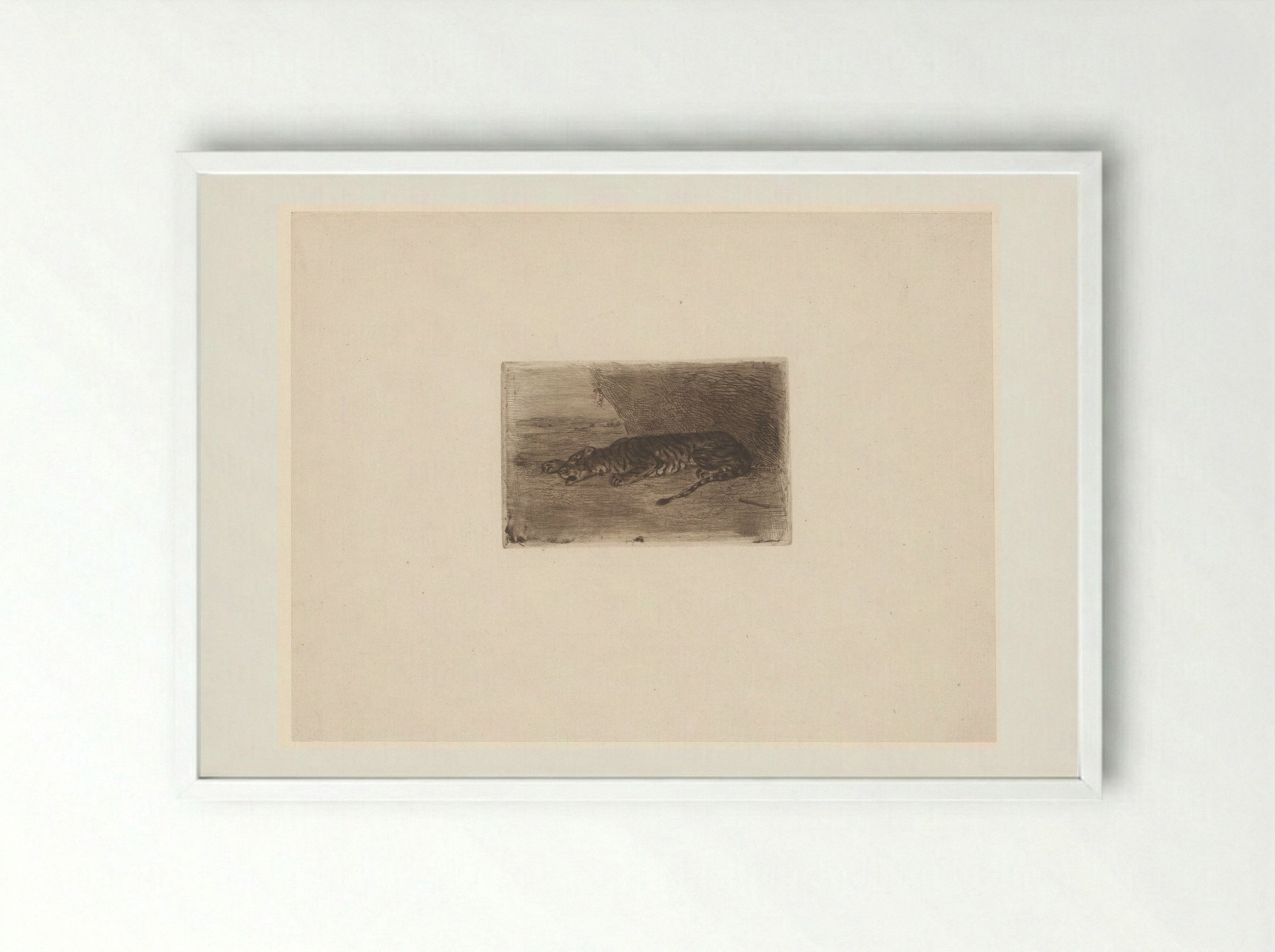 Sleeping Tiger - Eugène Delacroix - Framed Print White