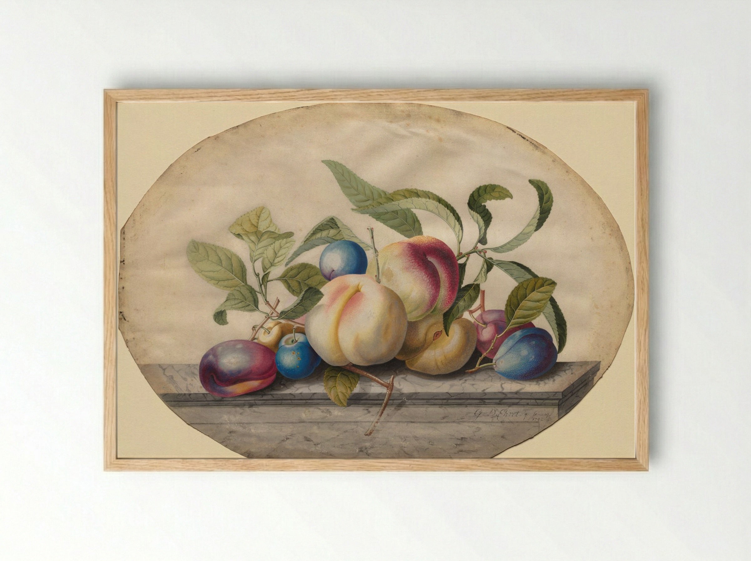 Fruit Arrangement: Peaches and Plums on a Slab of Marble - Georg Dionysius Ehret - Framed Print Wood
