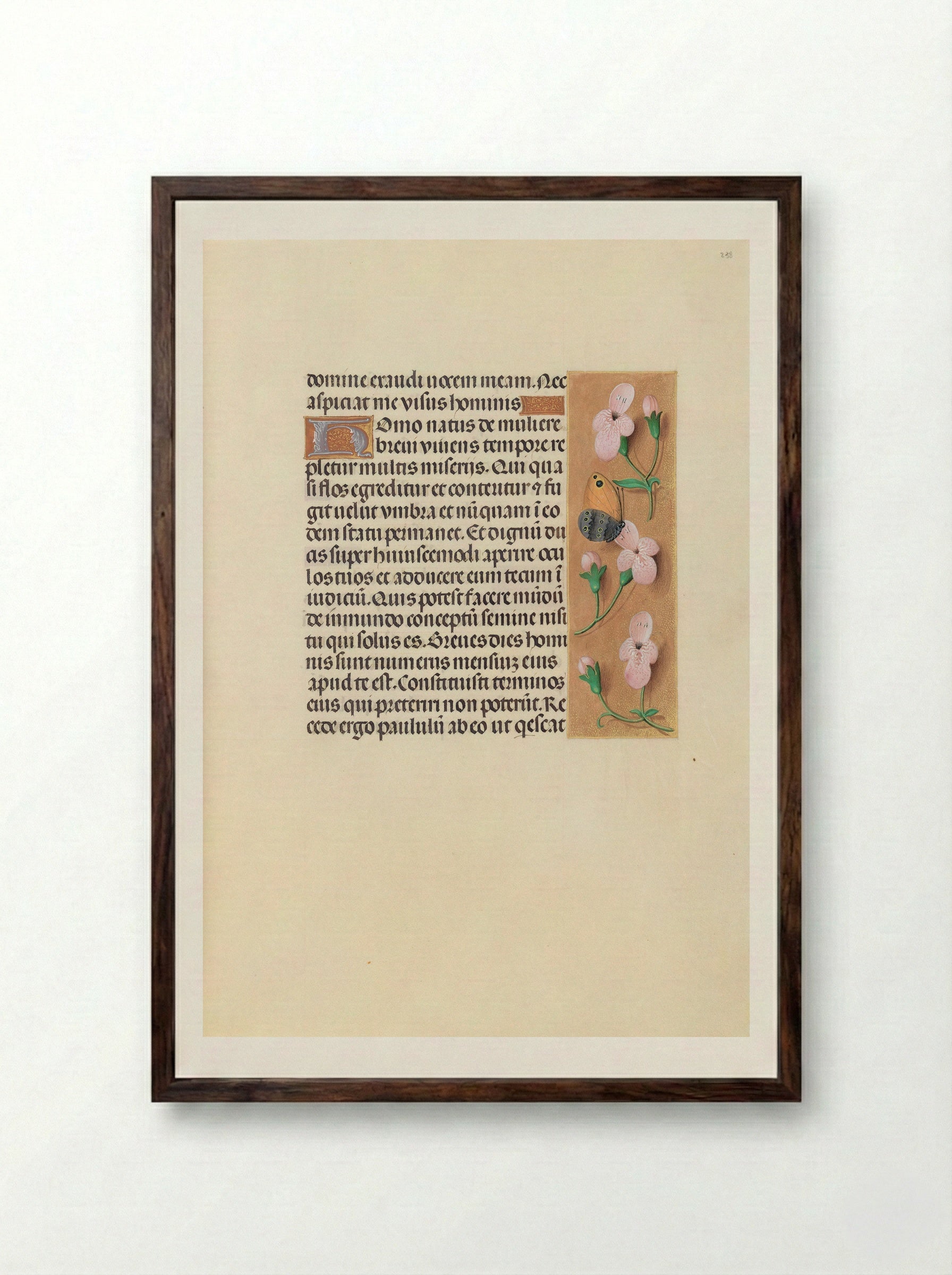 Hours of Queen Isabella the Catholic: Folio 238r - Master of the First Prayerbook of Maximilian - Framed Print Dark Wood