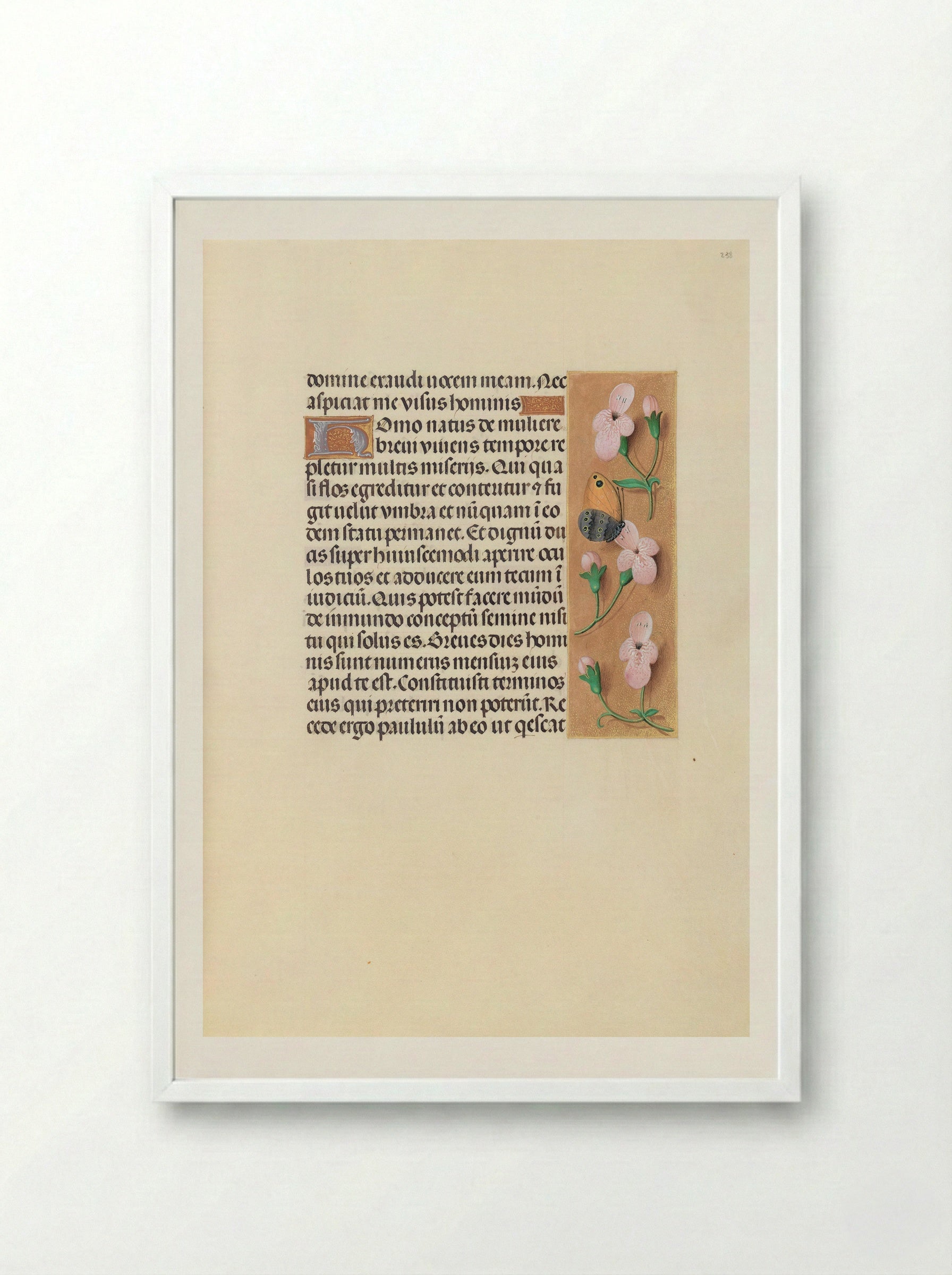 Hours of Queen Isabella the Catholic: Folio 238r - Master of the First Prayerbook of Maximilian - Framed Print White