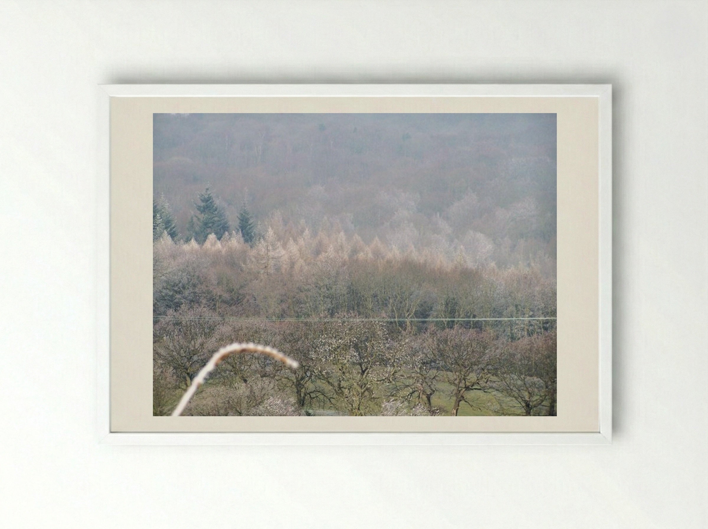 Tree, Tree - Terry Frost - Framed Print White
