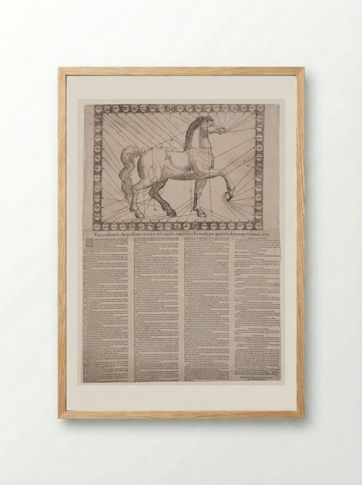Broadside: Various Infirmities of Horses - Unidentified Artist - Framed Print Wood