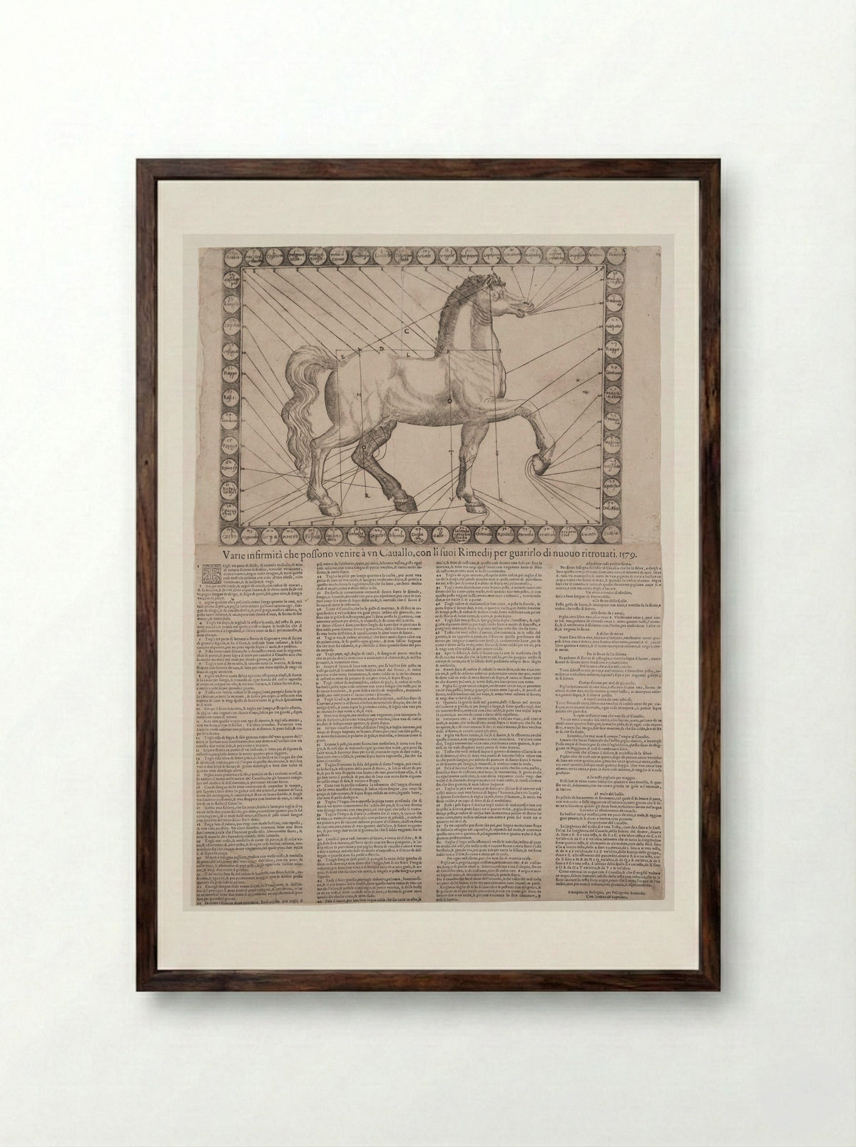 Broadside: Various Infirmities of Horses - Unidentified Artist - Framed Print Dark Wood