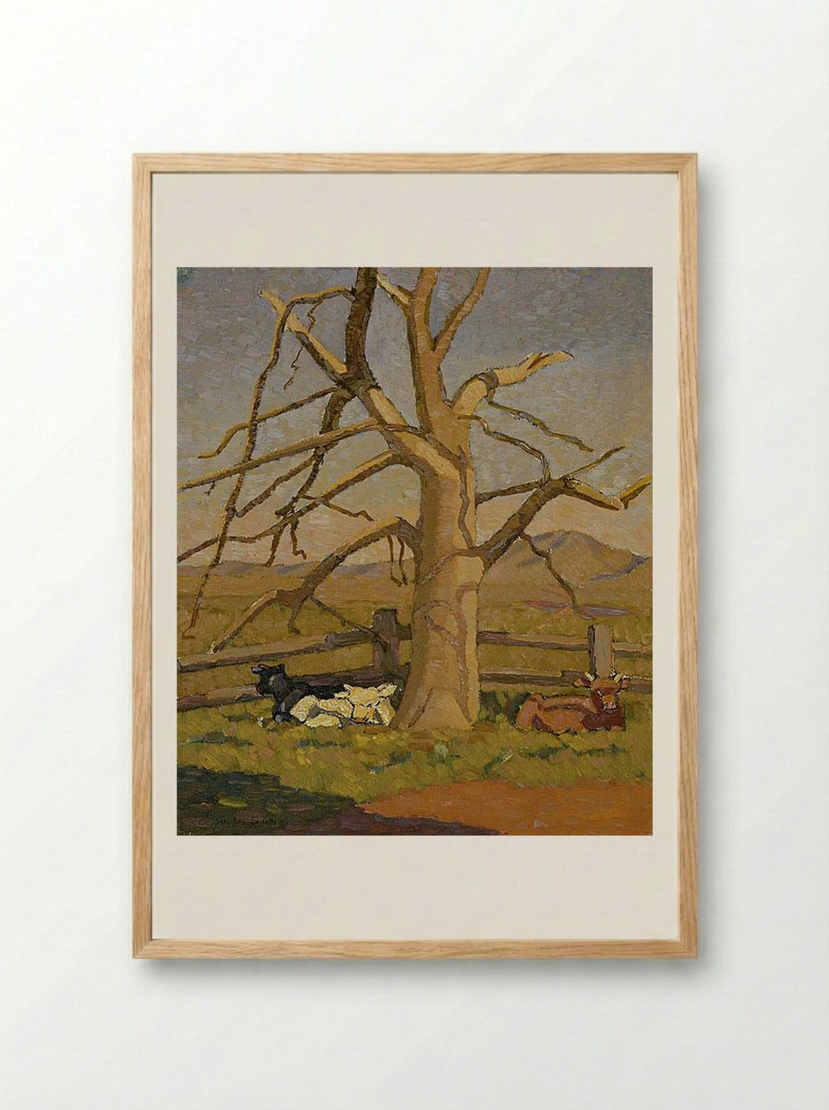 Sunny morning: Cows at Lanyon - Grace Cossington Smith - Framed Print Wood