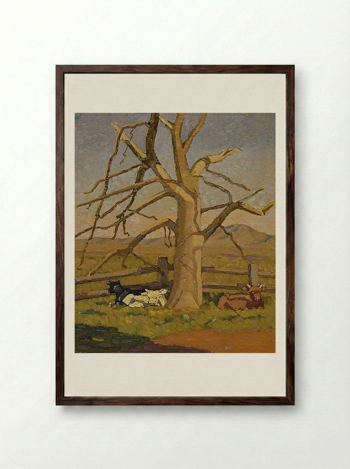 Sunny morning: Cows at Lanyon - Grace Cossington Smith - Framed Print Dark Wood
