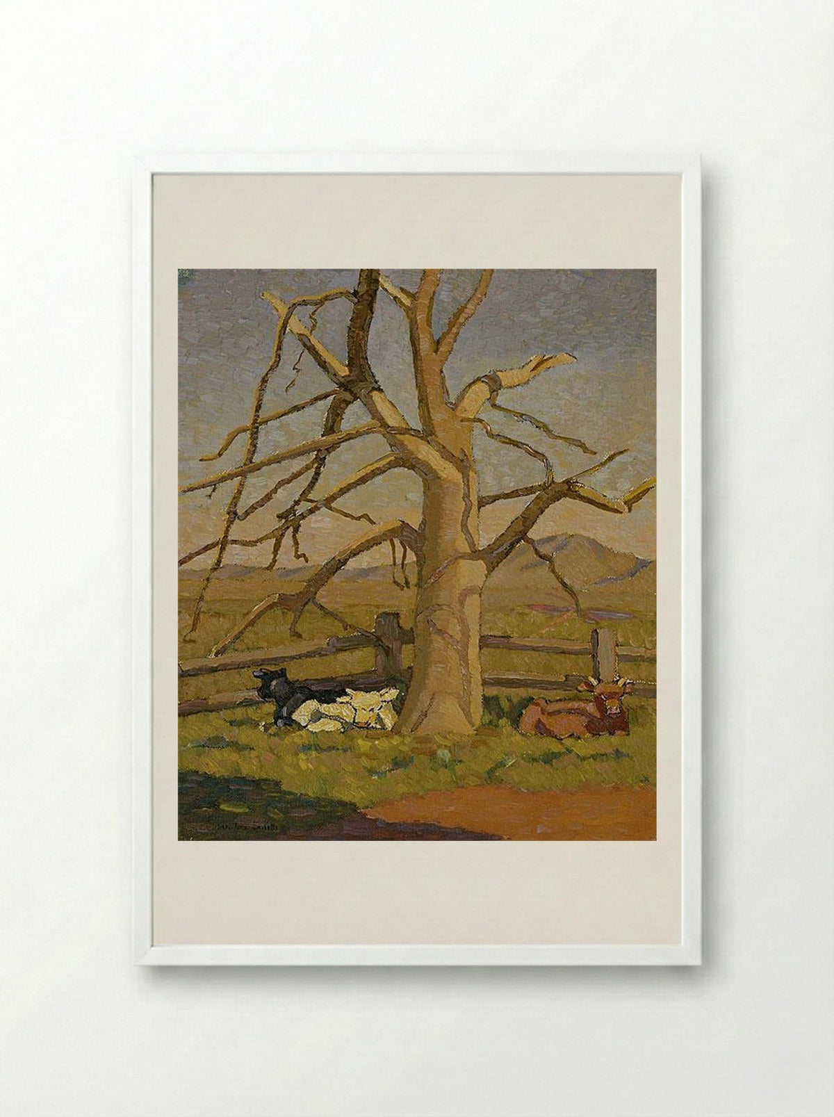 Sunny morning: Cows at Lanyon - Grace Cossington Smith - Framed Print White