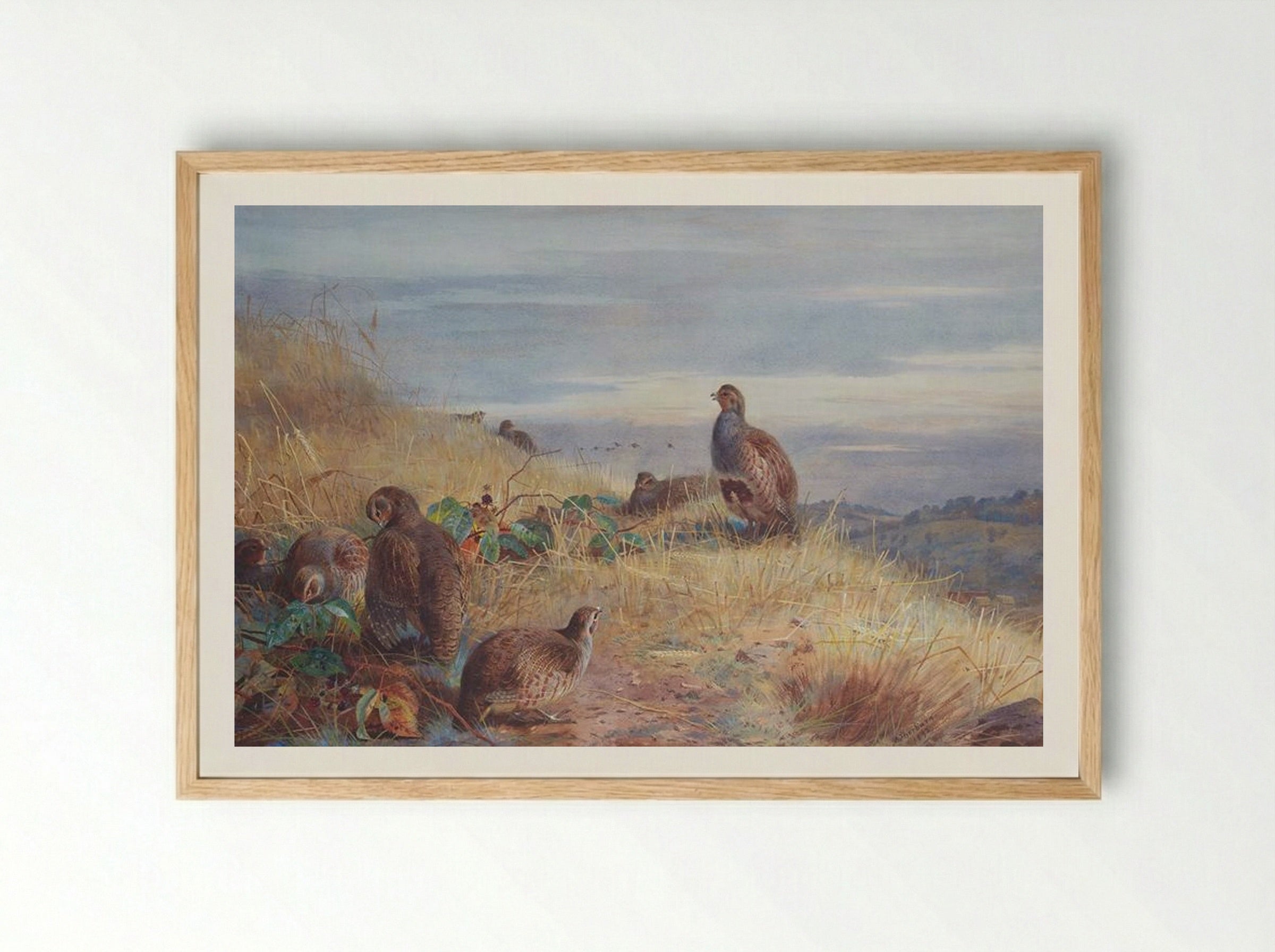 The Covey at Daybreak - Archibald Thorburn - Framed Print Wood