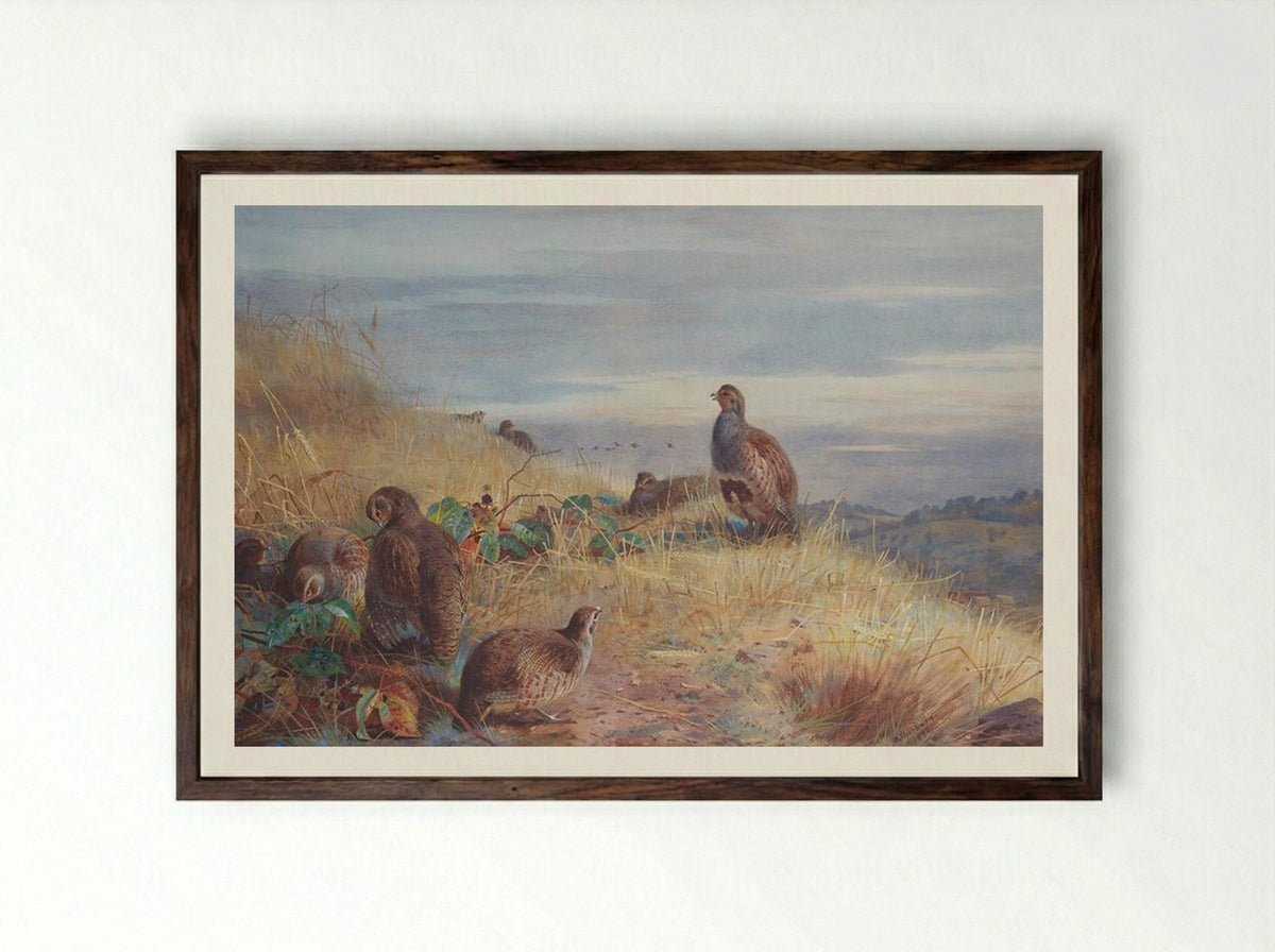 The Covey at Daybreak - Archibald Thorburn - Framed Print Dark Wood