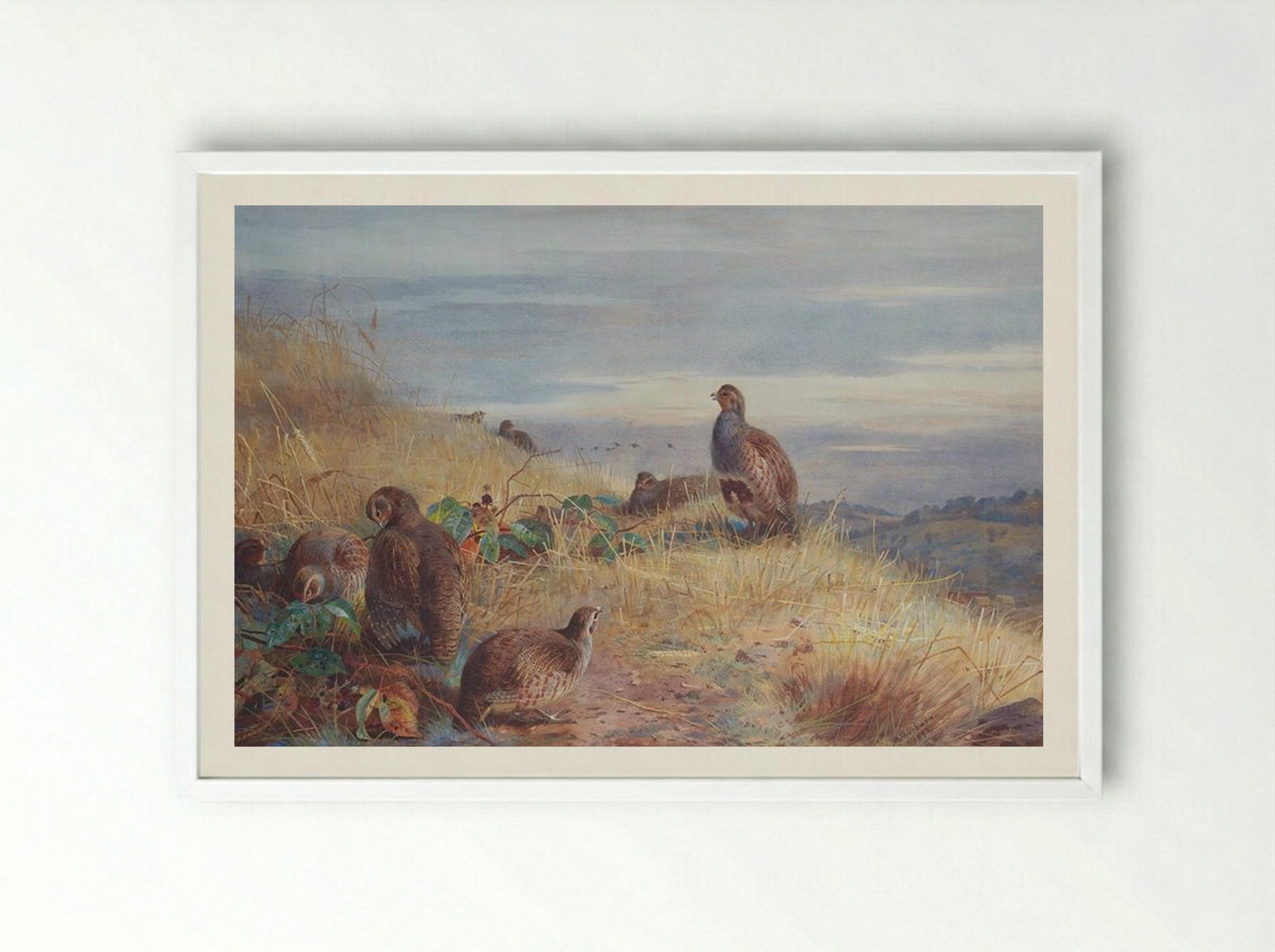 The Covey at Daybreak - Archibald Thorburn - Framed Print White