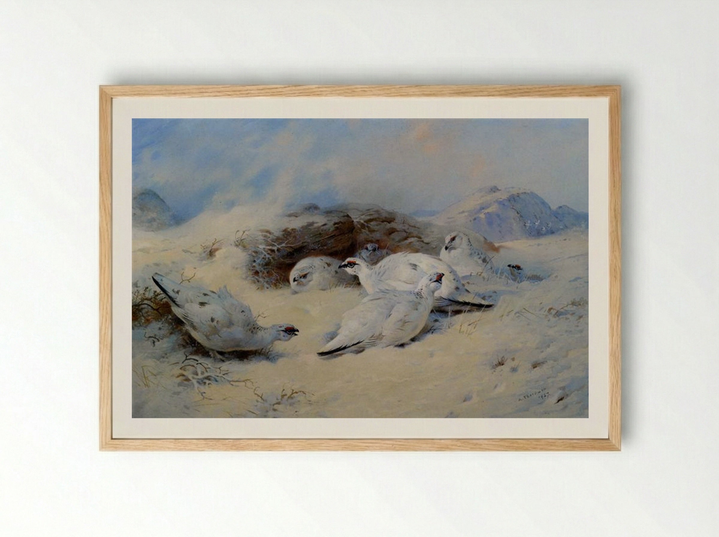 Ptarmigan Seeking Shelter - Archibald Thorburn - Framed Print Wood