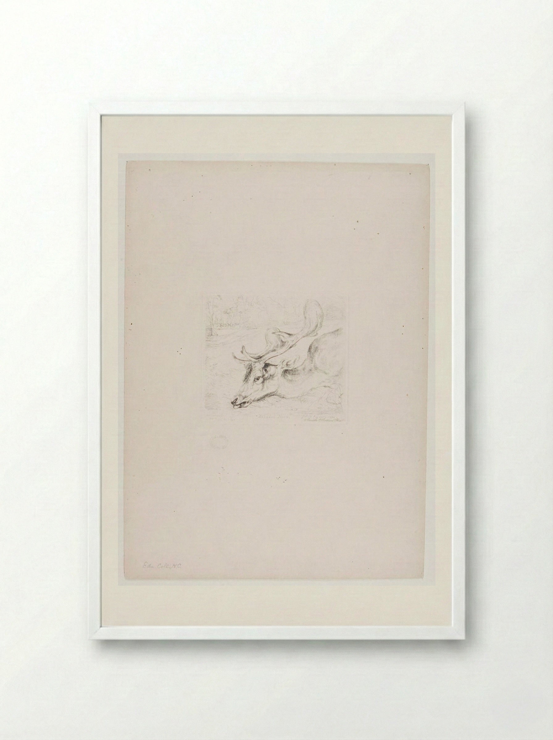 Wounded Deer - John Frederick Lewis - Framed Print White