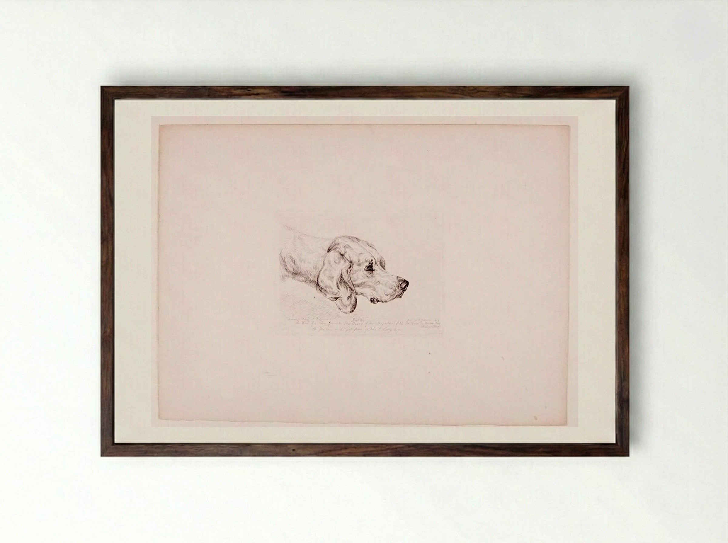 Rattler - John Frederick Lewis - Framed Print Dark Wood