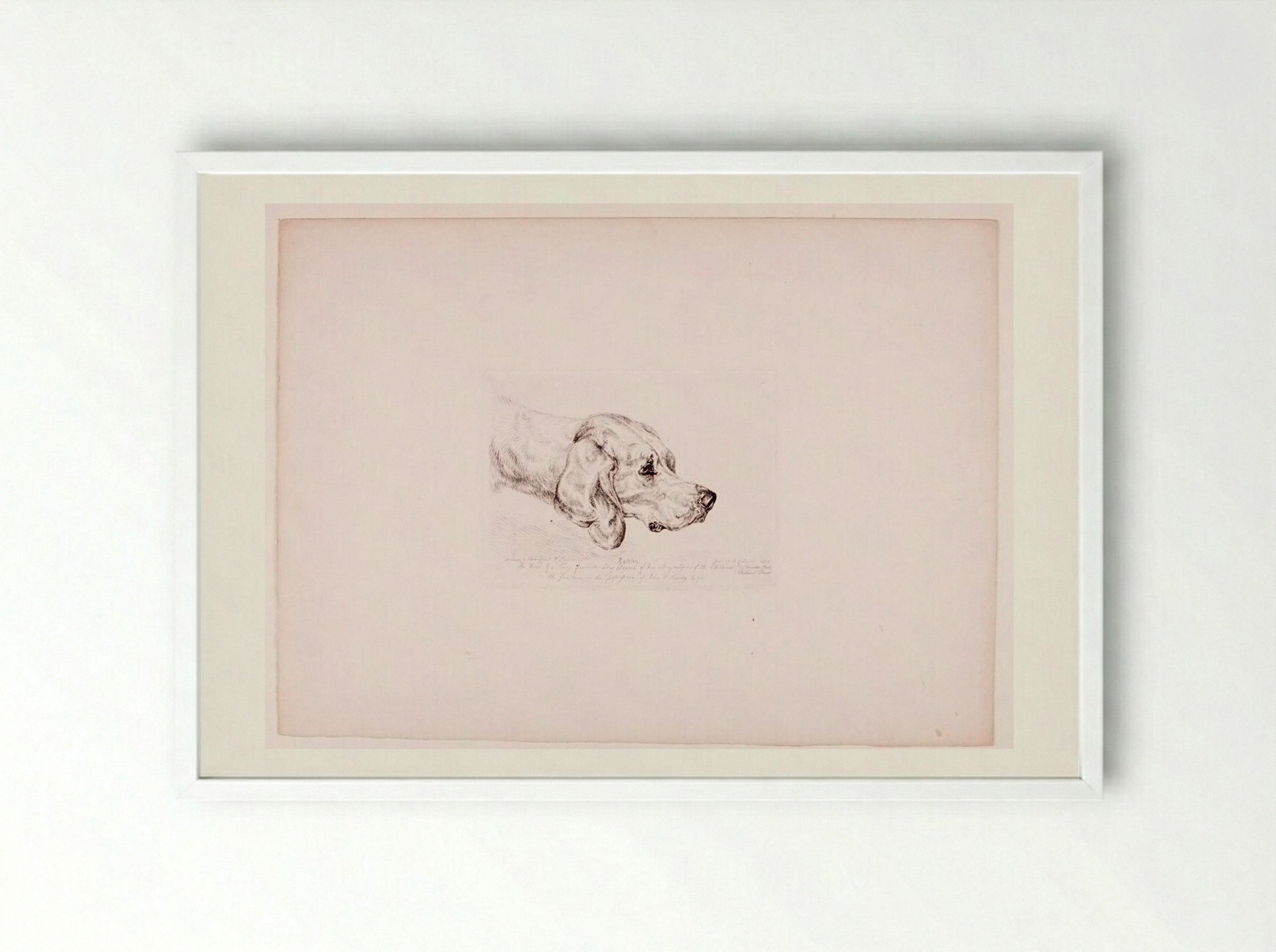 Rattler - John Frederick Lewis - Framed Print White