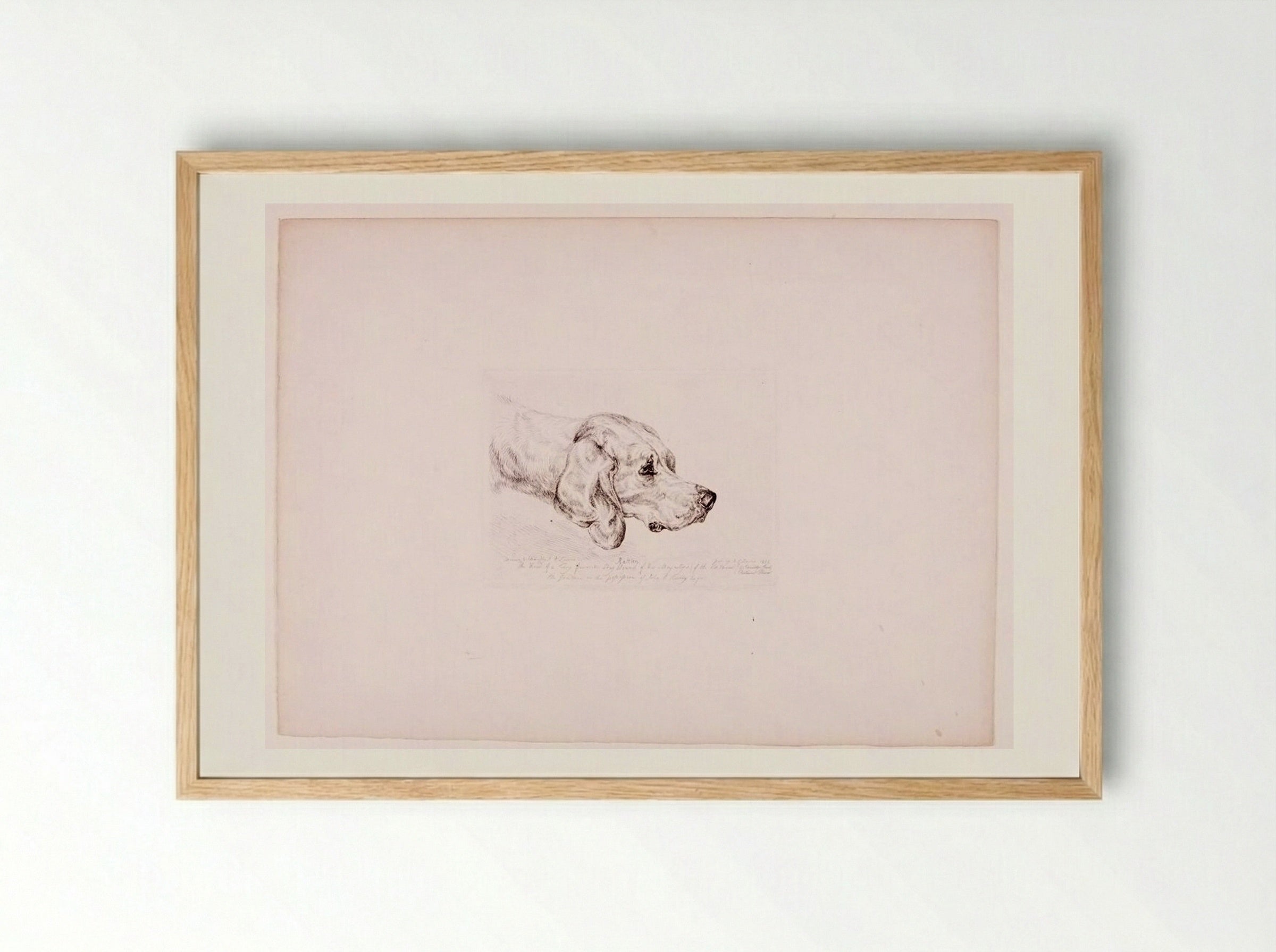Rattler - John Frederick Lewis - Framed Print Wood