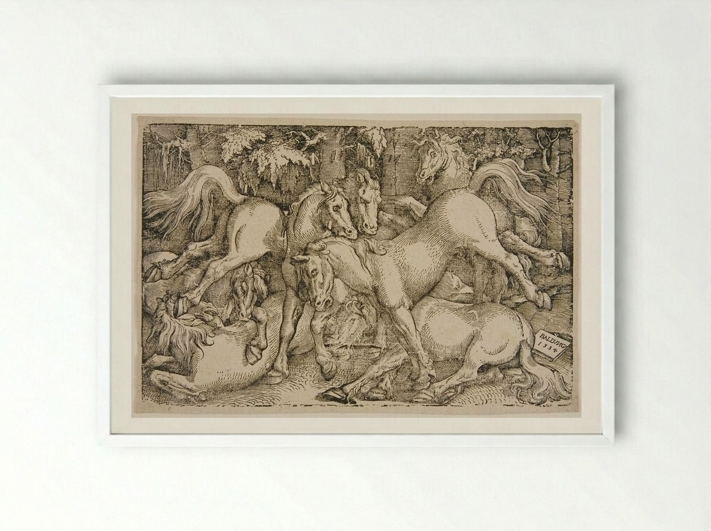 Fighting Wild Horses in a Wood - Hans Baldung Grien - Framed Print White