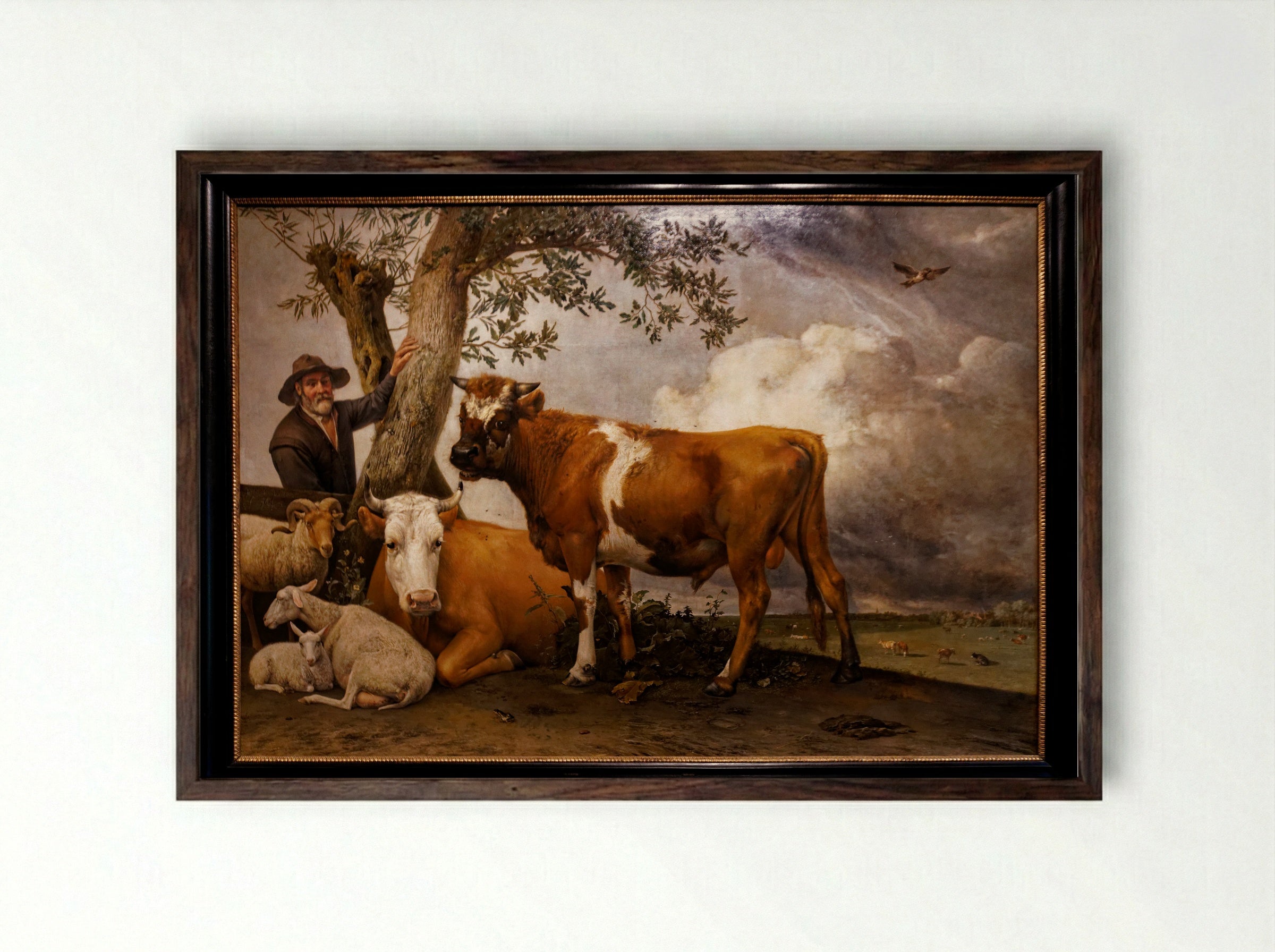 The Bull - Paulus Potter - Framed Print Dark Wood