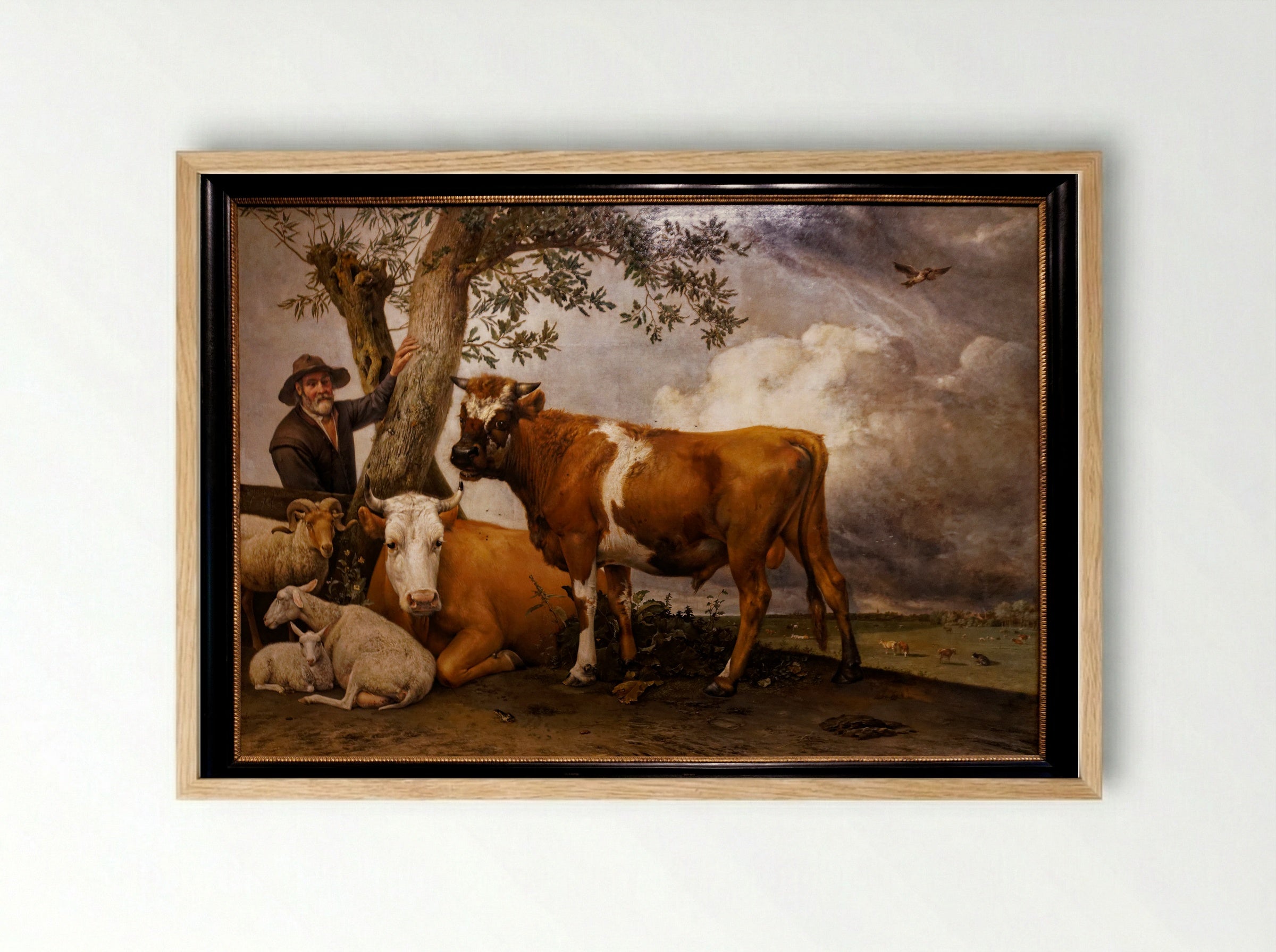 The Bull - Paulus Potter - Framed Print Wood