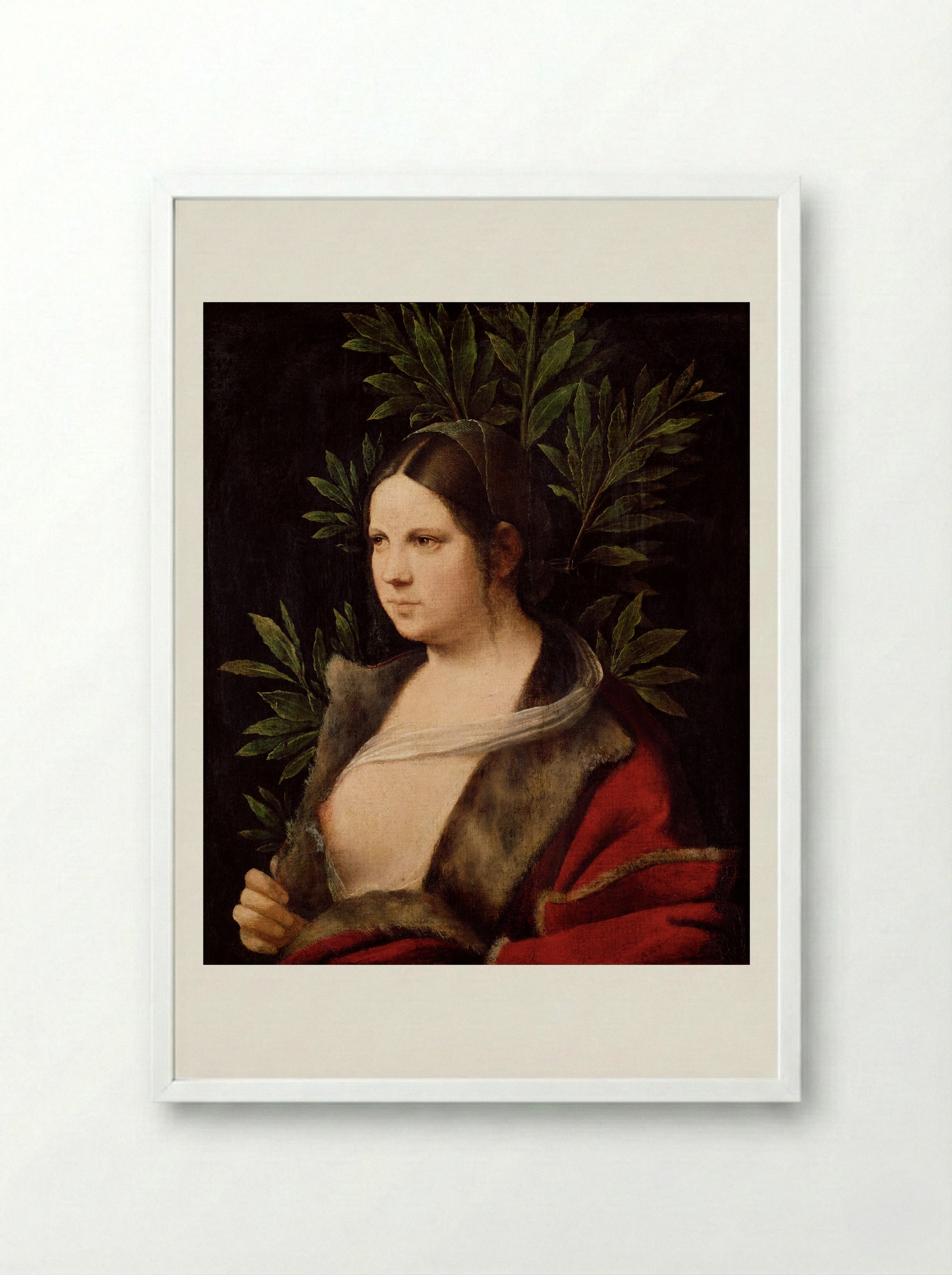Laura - Giorgione - Framed Print White