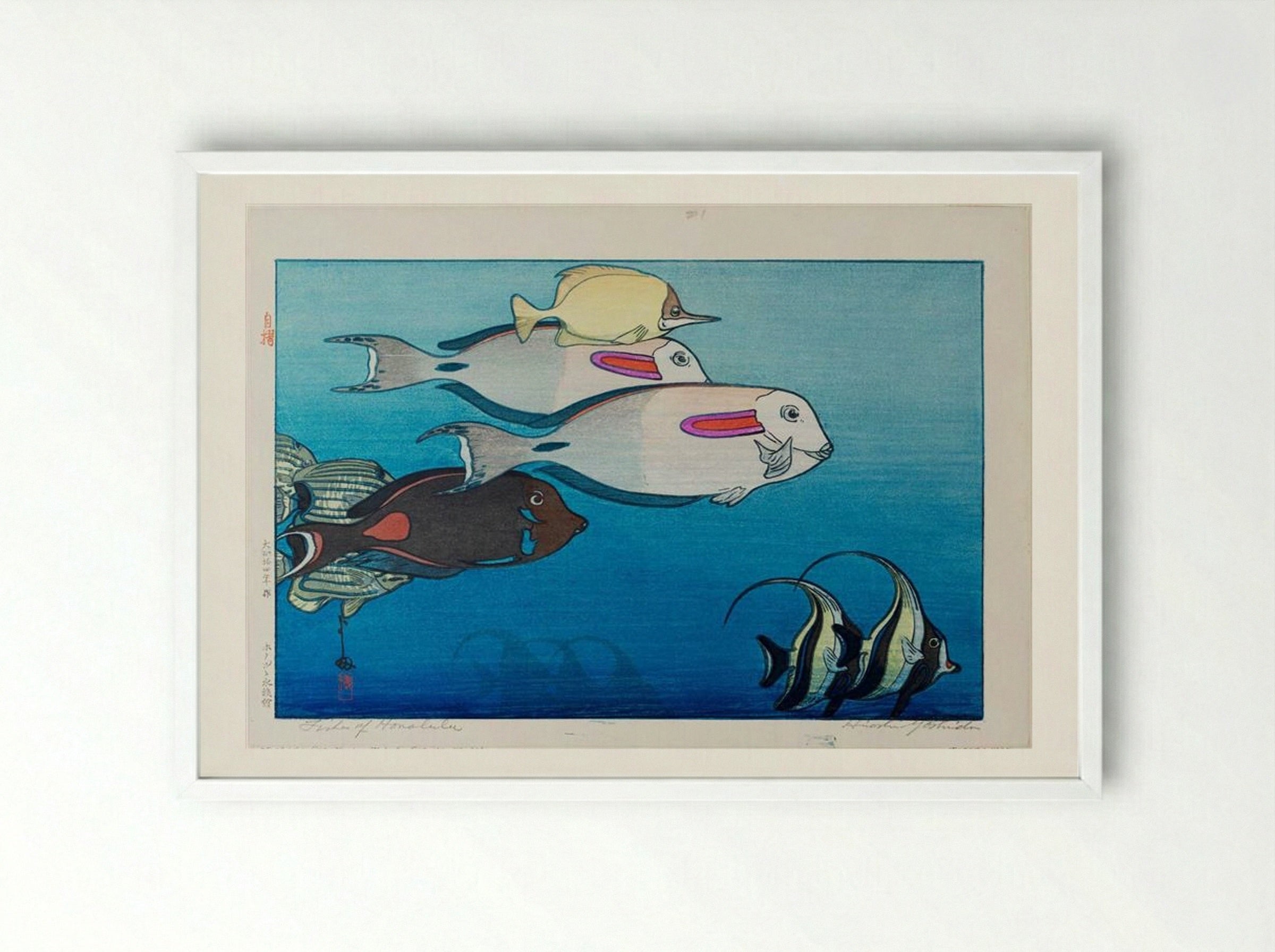 Fishes of Honolulu - Hiroshi Yoshida - Framed Print White