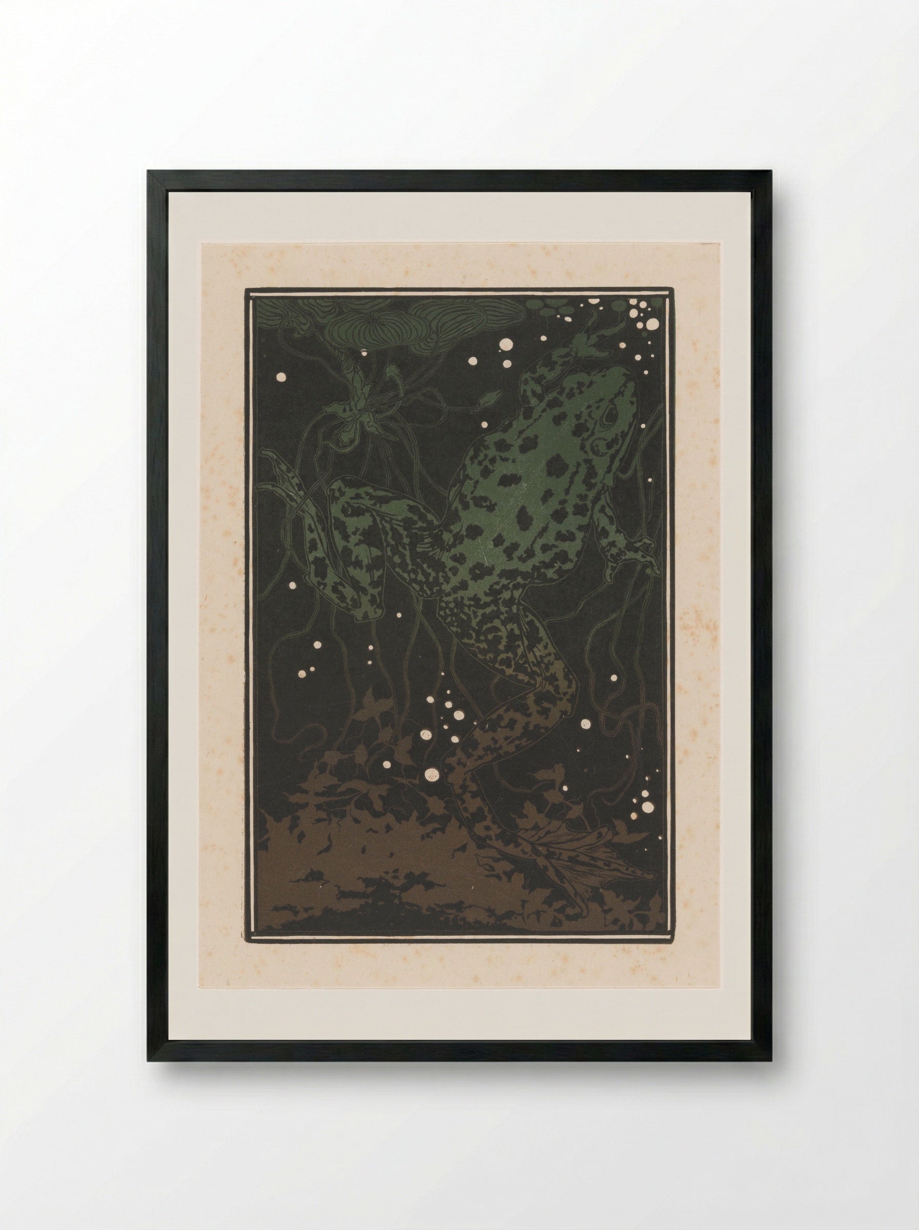 Zwemmende kikker (Swimming Frog) - Julie de Graag - Framed Print Black