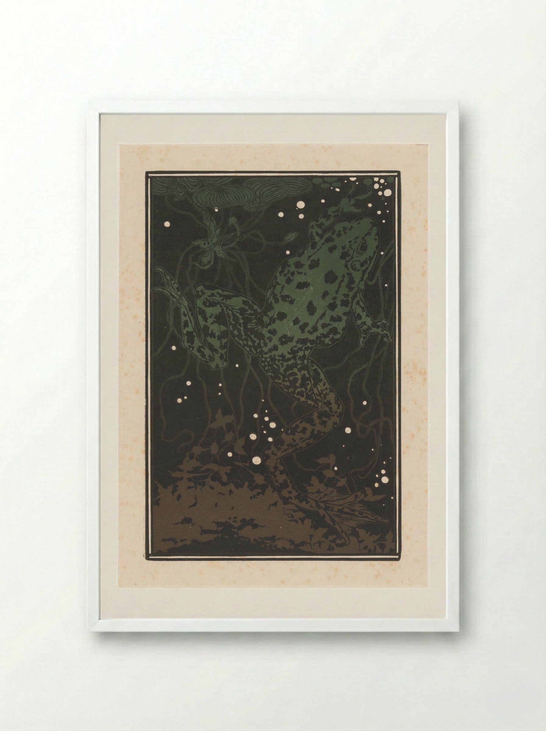 Zwemmende kikker (Swimming Frog) - Julie de Graag - Framed Print White