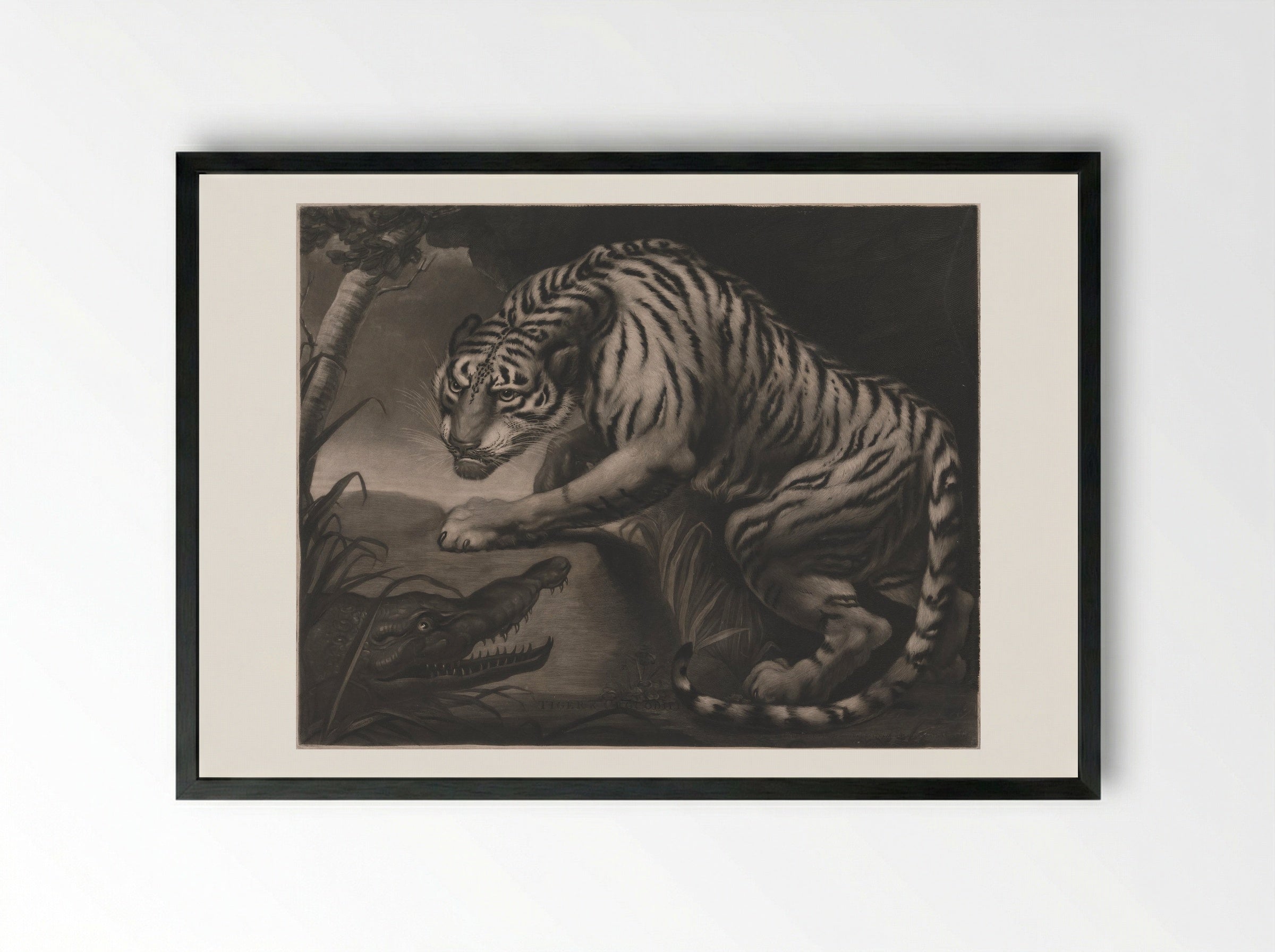 Tiger & Crocodile - Charles Turner - Framed Print Black