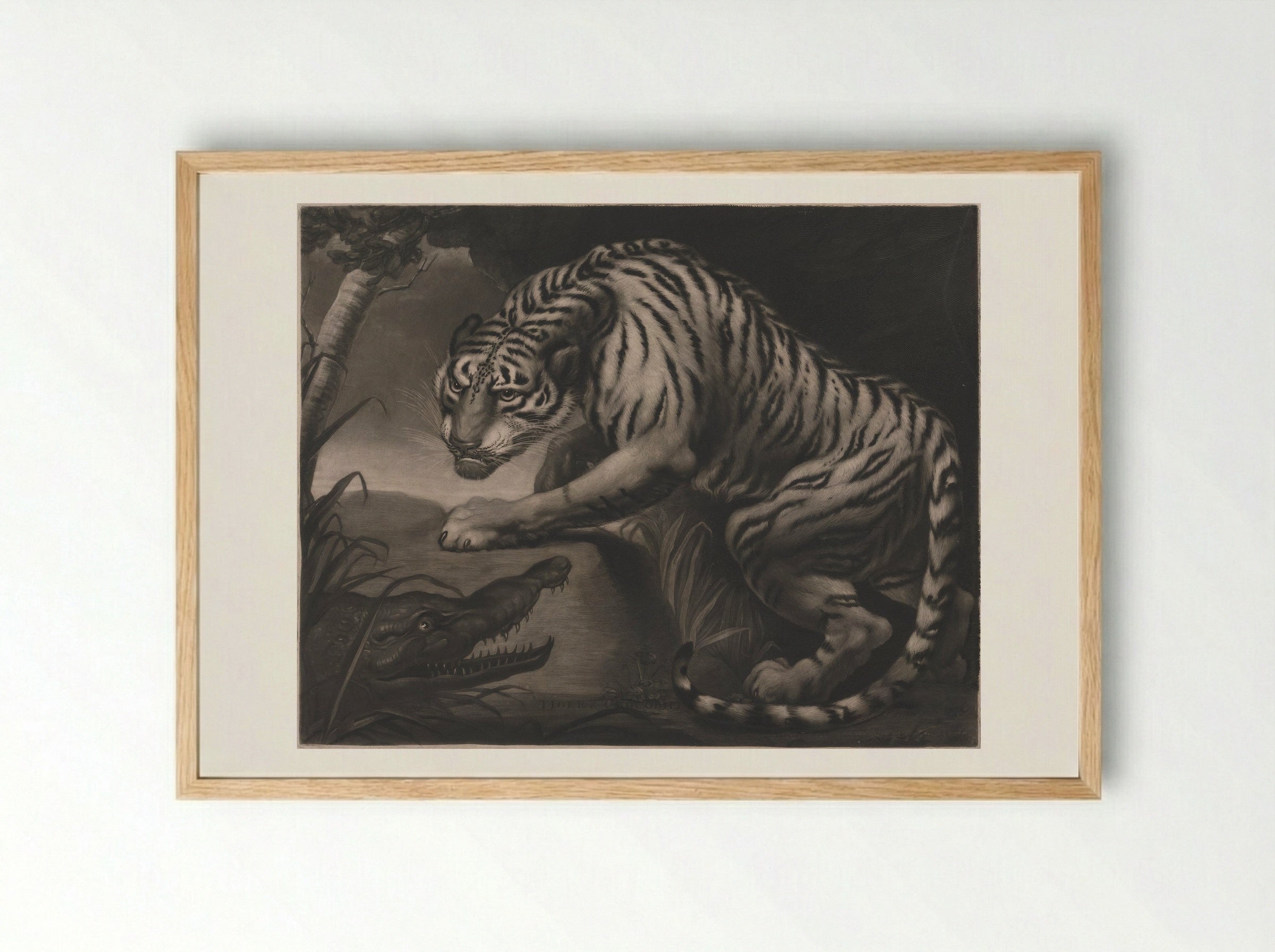 Tiger & Crocodile - Charles Turner - Framed Print Wood