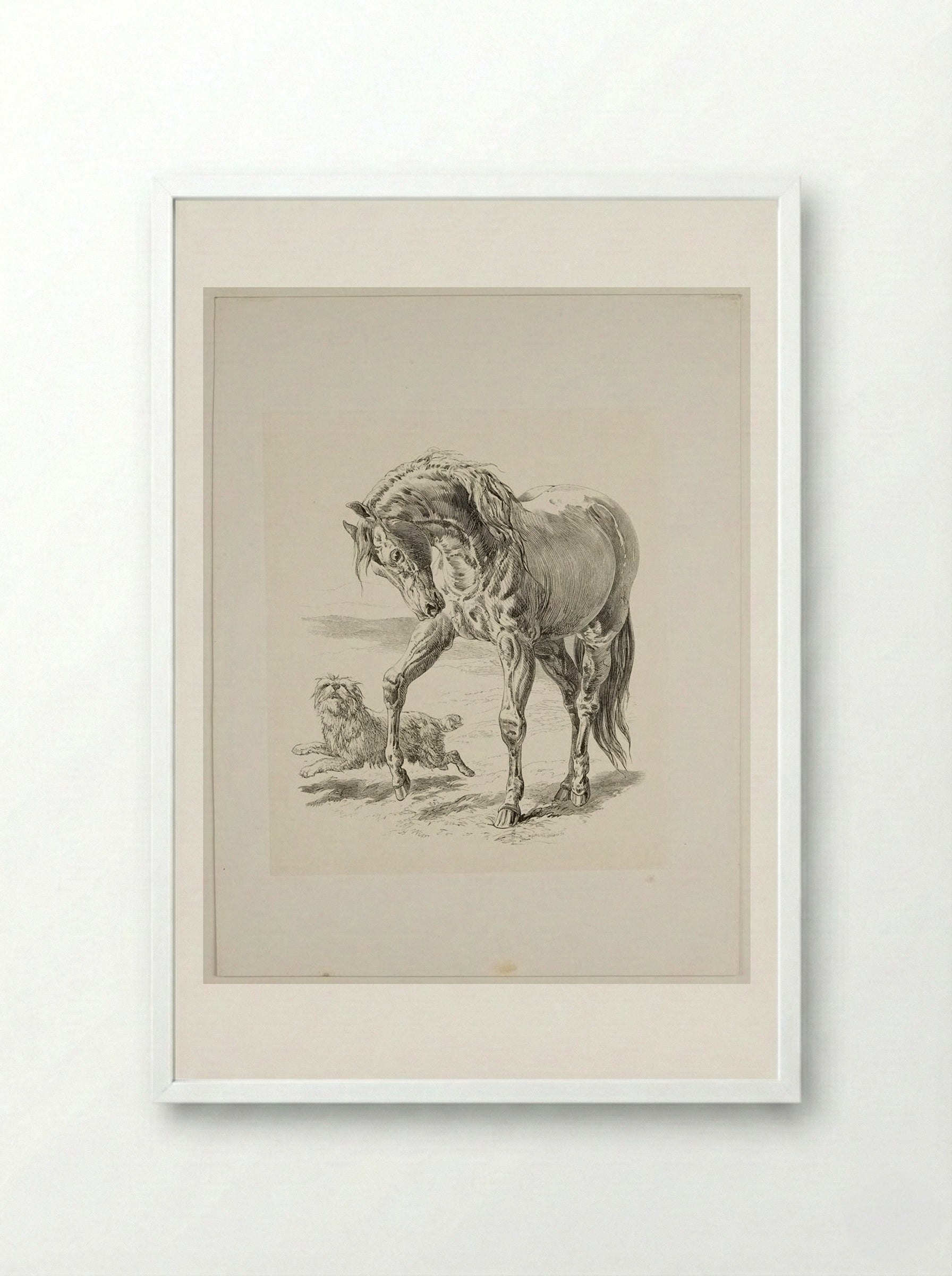 Horse and Dog - Walter Gorway - Framed Print White