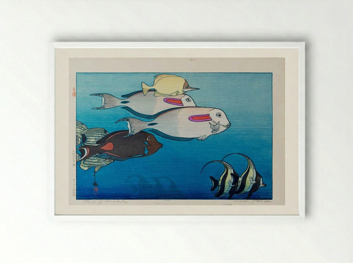 Fishes of Honolulu - Hiroshi Yoshida - Framed Print White